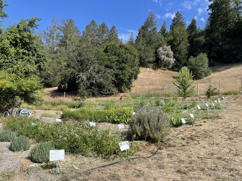 Apothecary Garden Annual Membership