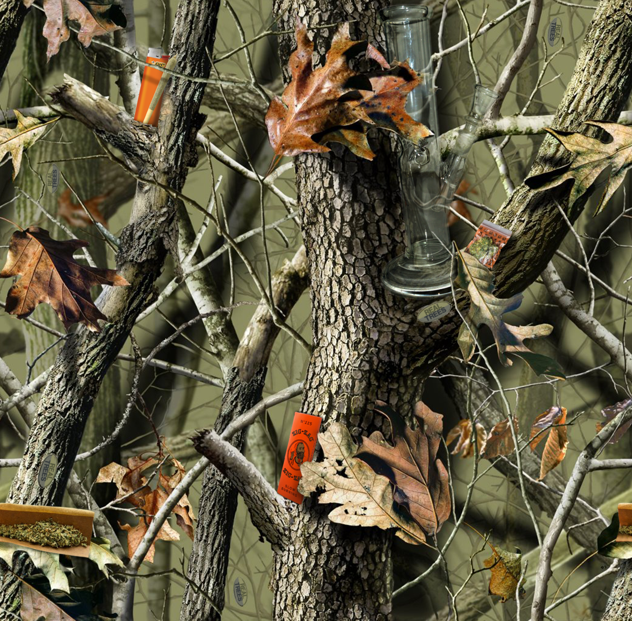 RealTrees.png