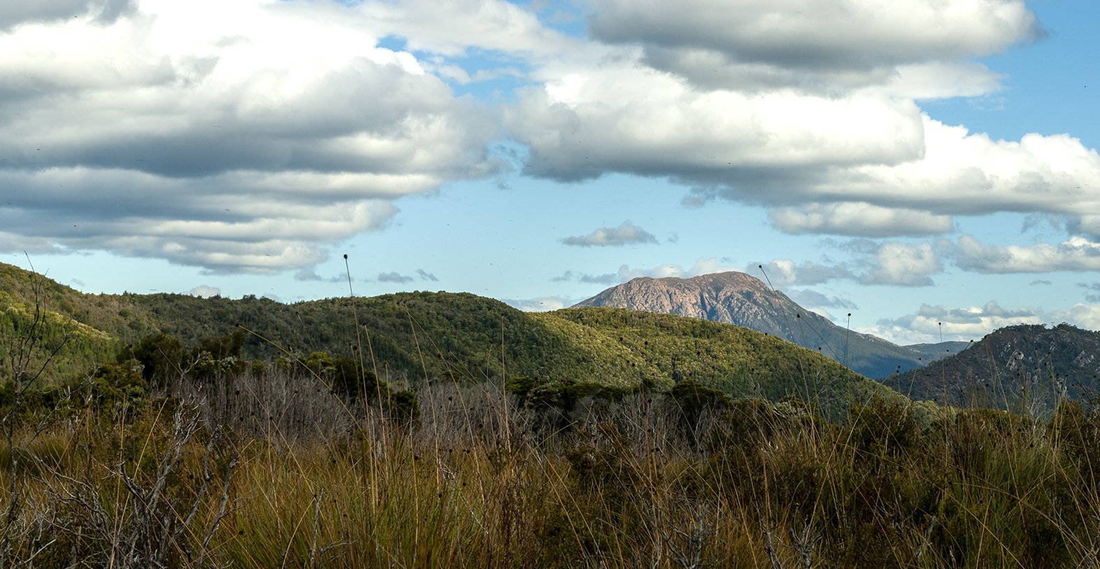 DSC_3906-Pano.jpg