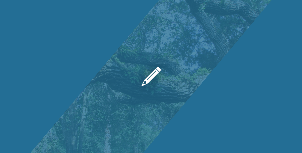 Blog Header Slant.png