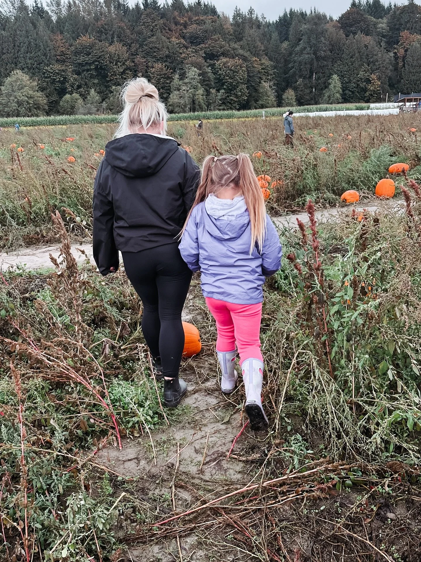 My people 🤍✨🎃🕸️🍁🍂