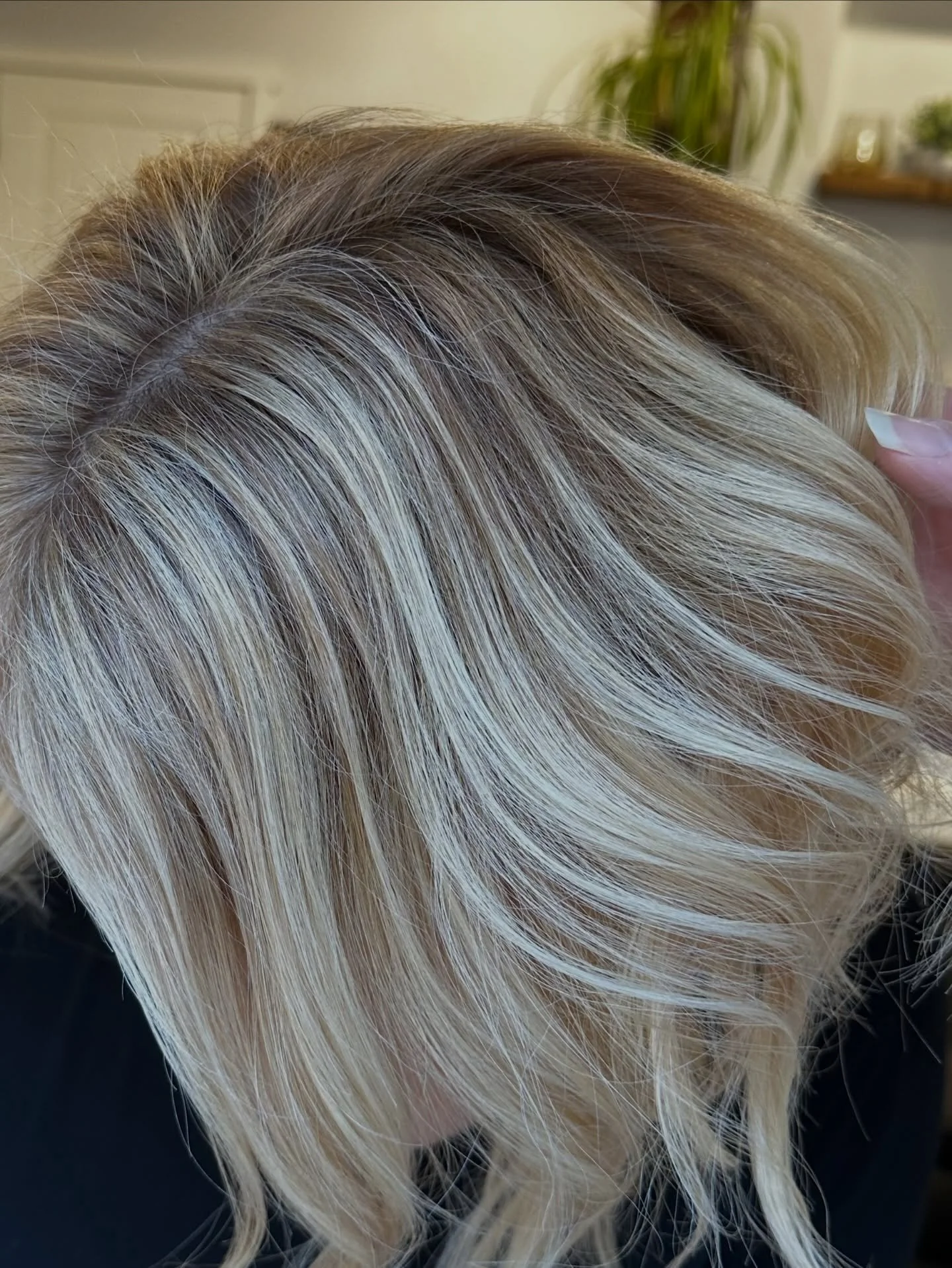 Salon life lately 🤍✨🙌🏼
I love all of it! 
Beyond grateful for this space and the beautiful souls who fill it 🫶🏼.
#lakestevenshairstylist #blondespecialist #balayagespecialist #snohomishhairstylist