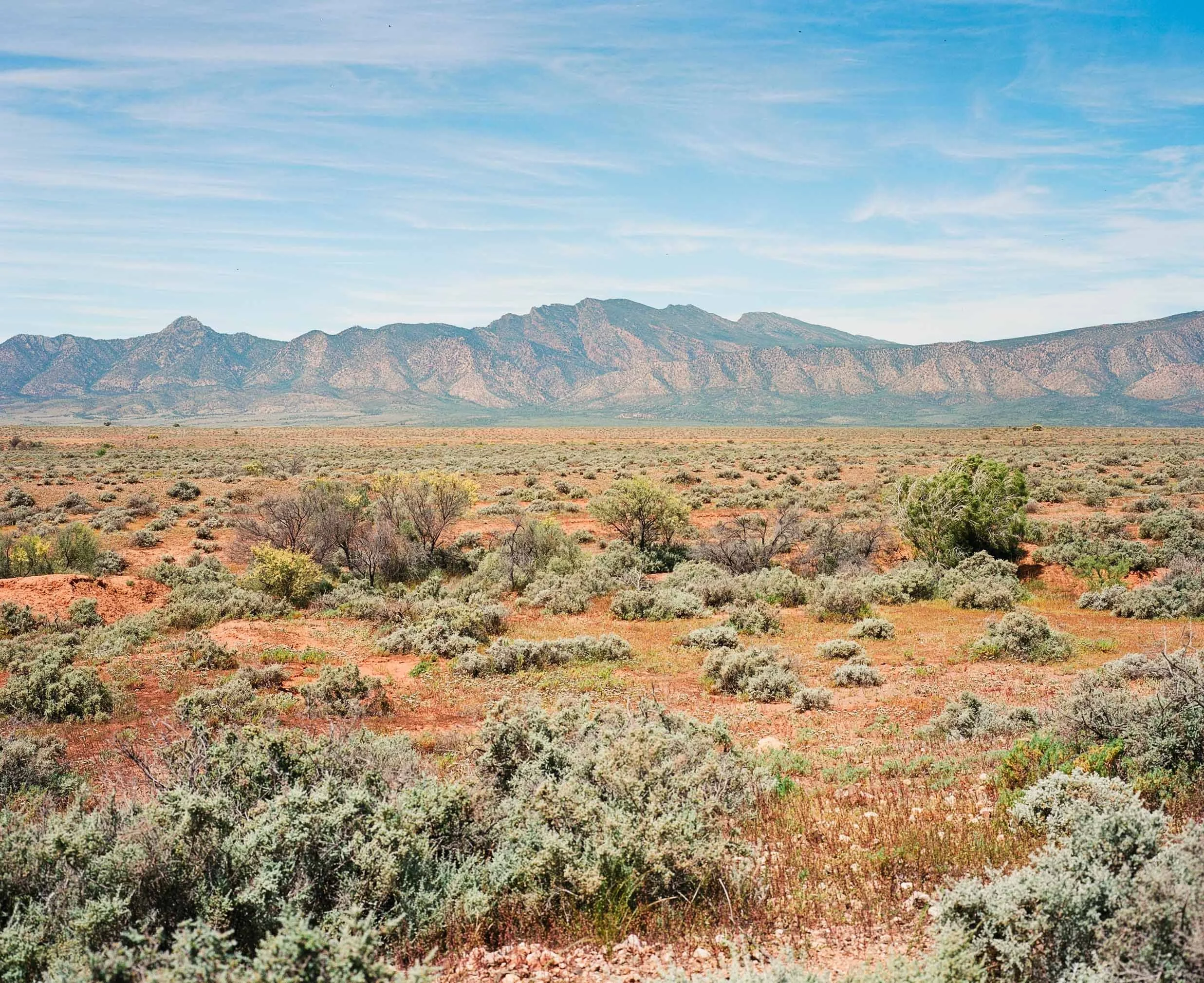  To ancient Arkaroola, SA / Adnyamathanha Country  