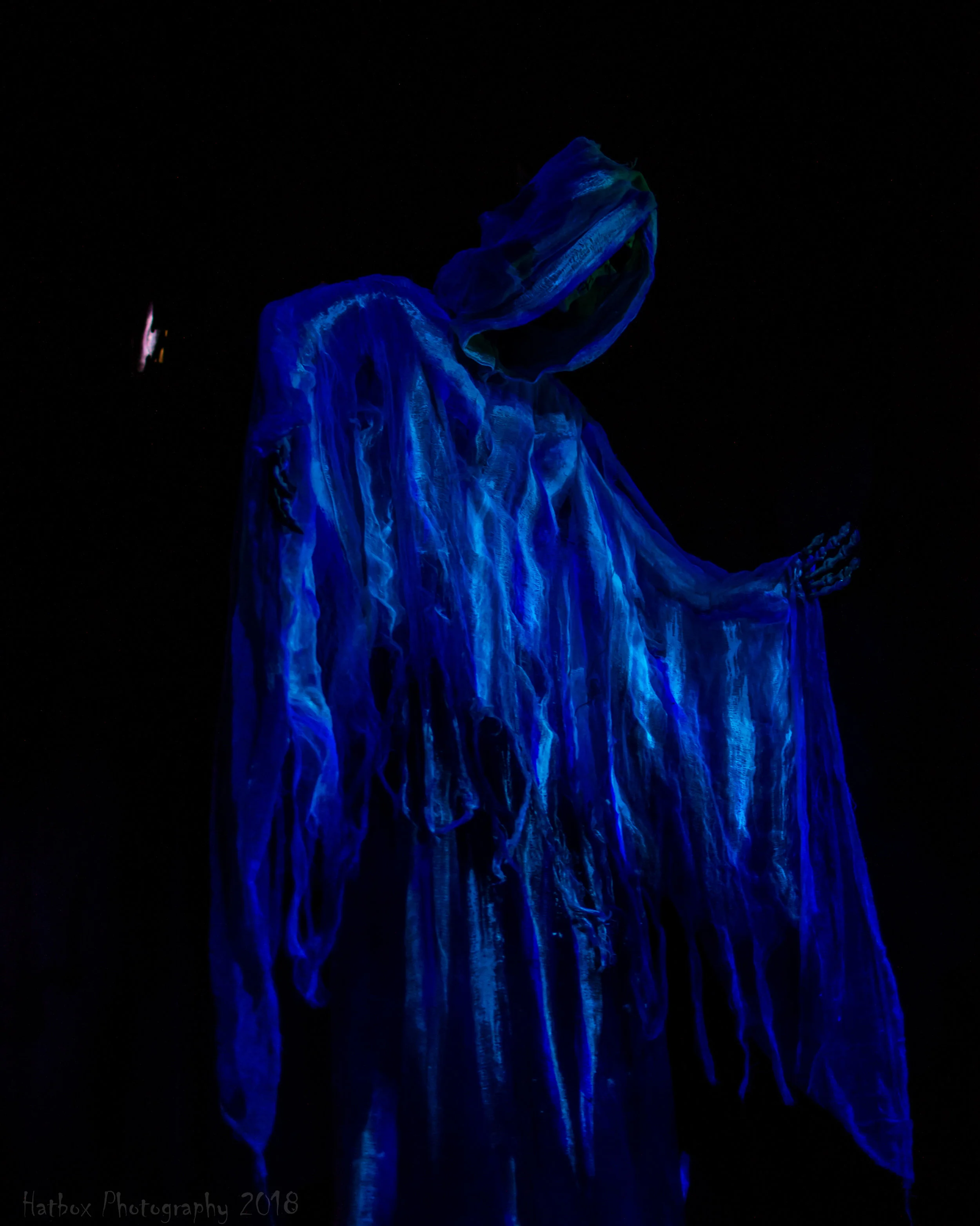 Dark Ride.jpg