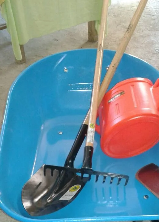 Starting a new nursery in LaSucreie