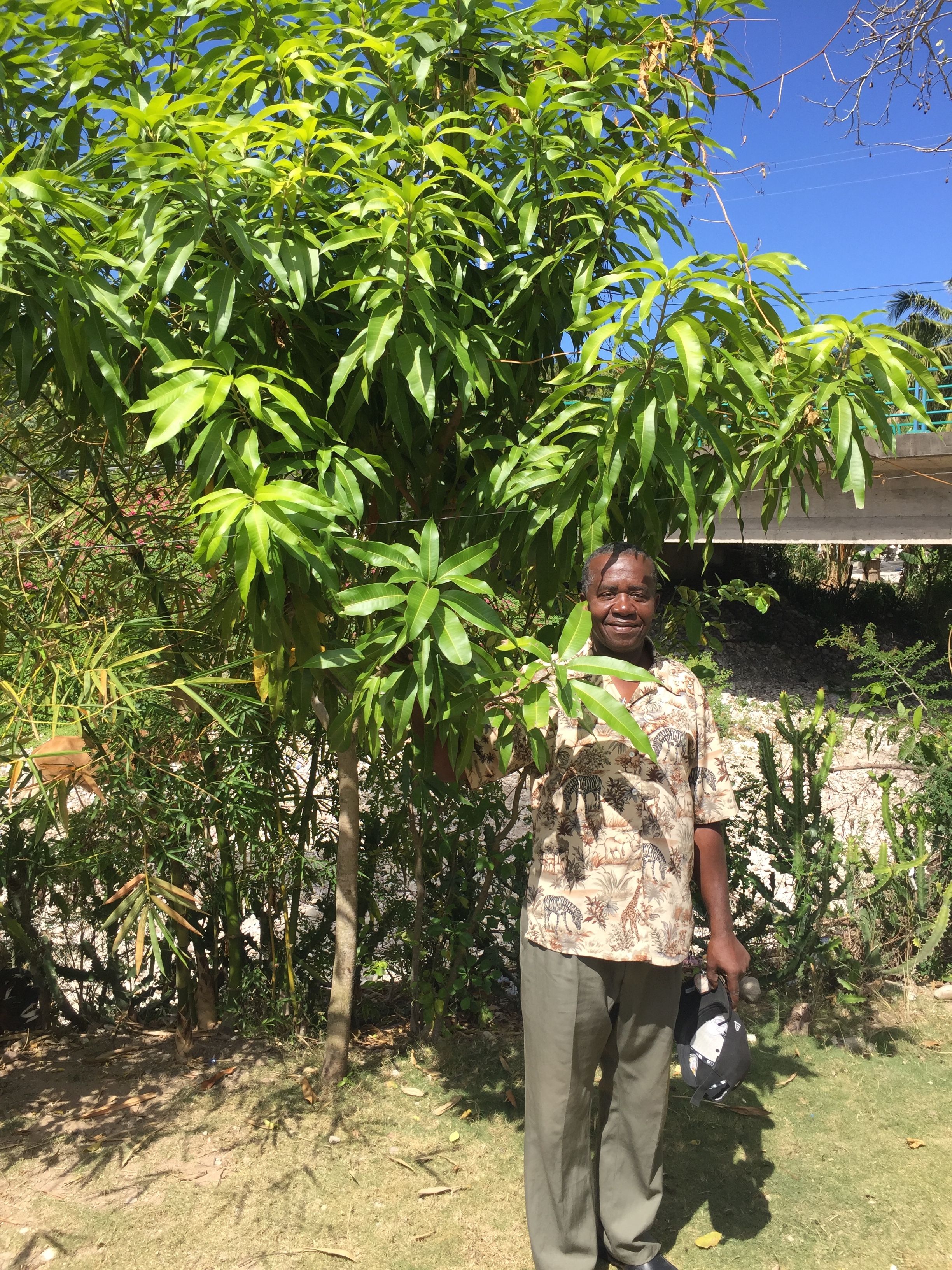 An update on our old tree nursery - and our latest work.