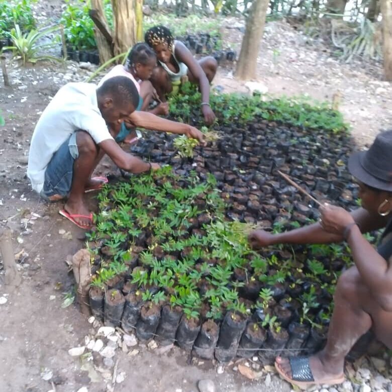 July+20+planting+the+fwenn+trees.jpg