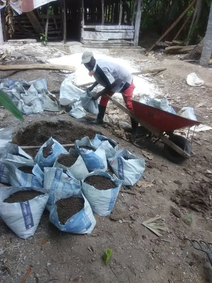 New Breadfruit Nursery