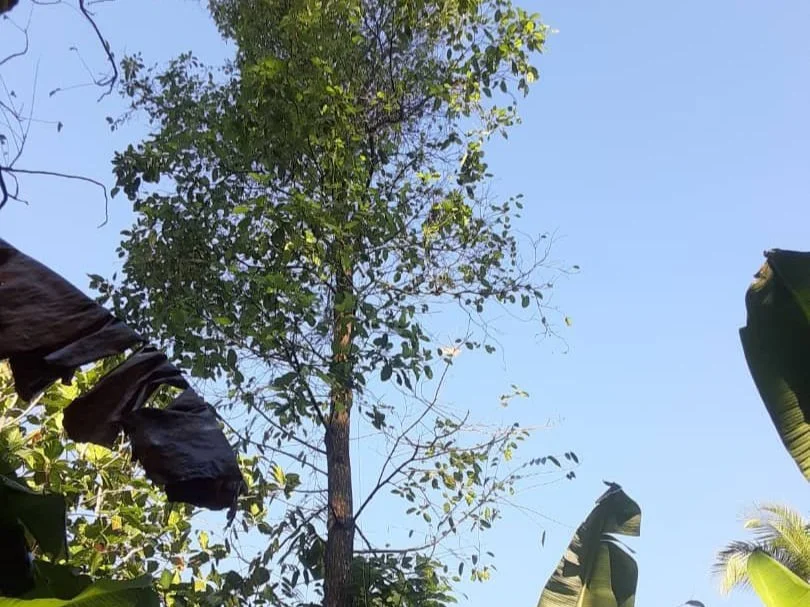 Agronomist Nerva Gives A Seminar