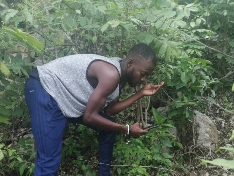 Tree Tracker Claude