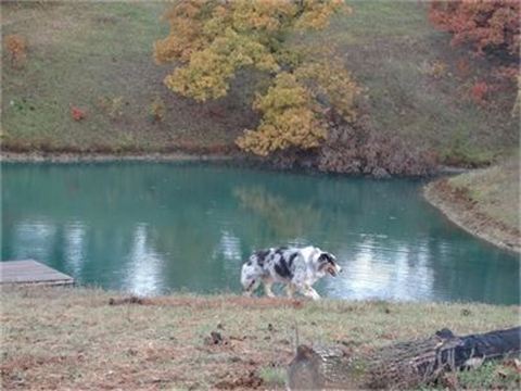 480_360_csupload_68795093.jpg