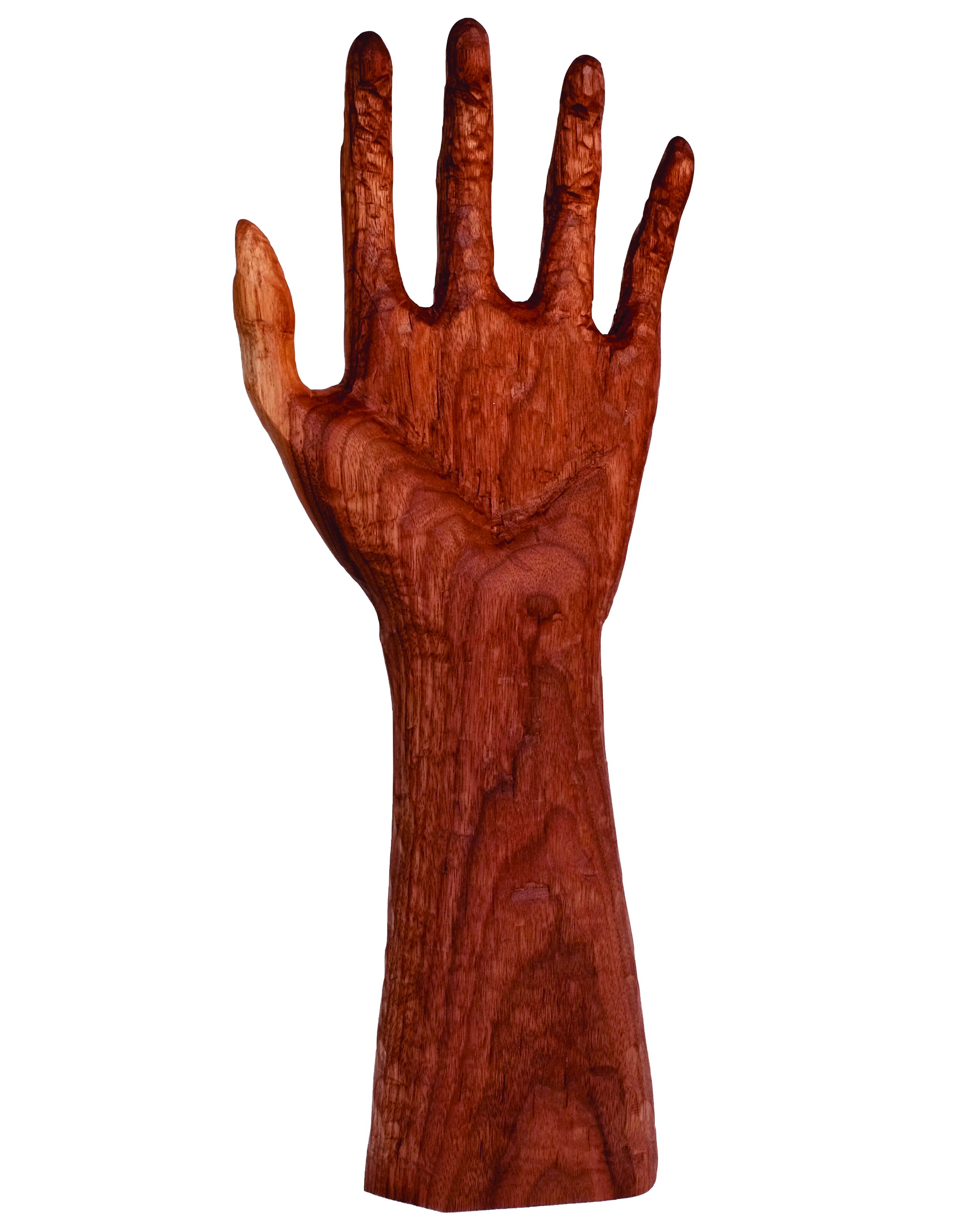 Dark Hand with Arm