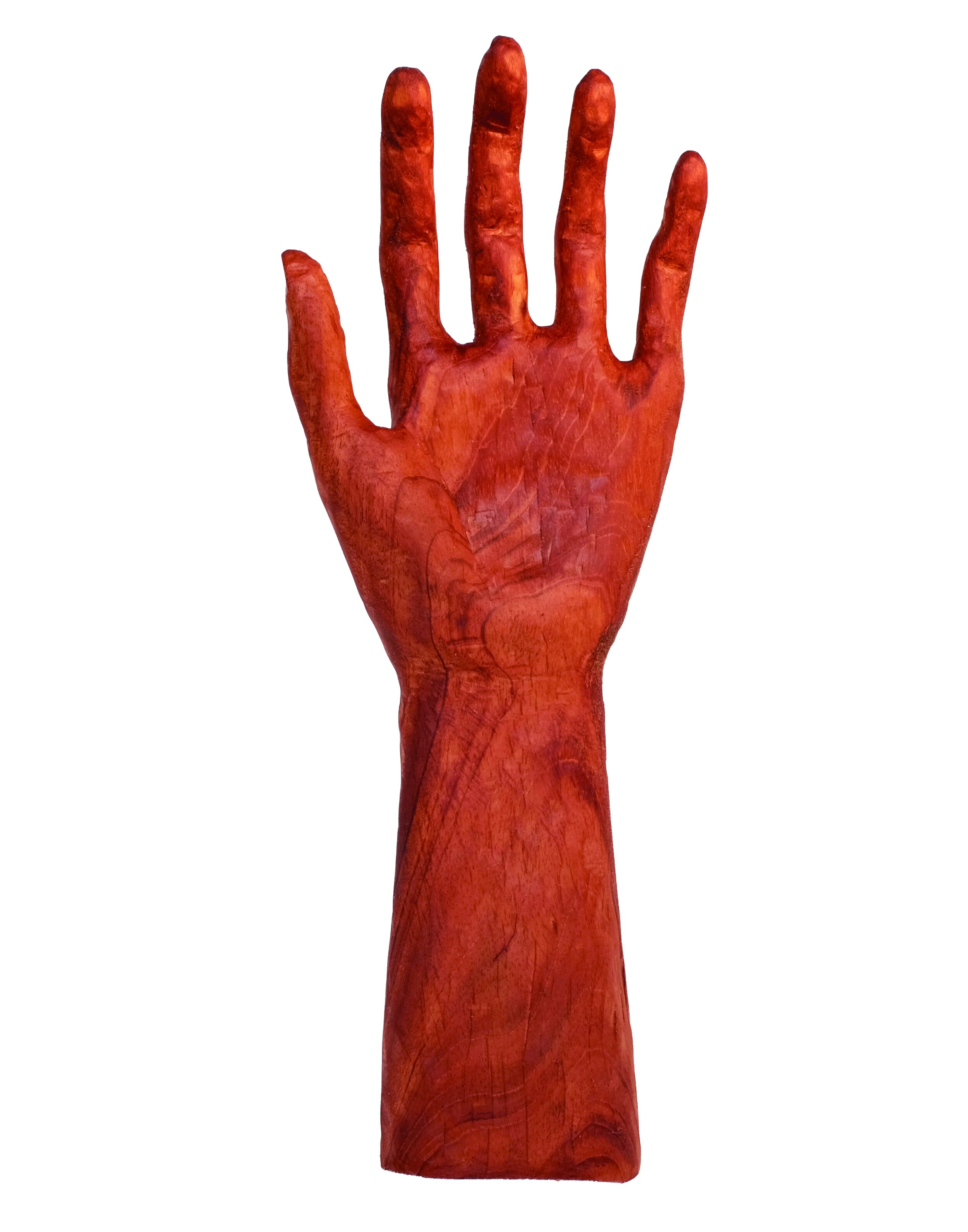 Red Hand with Arm