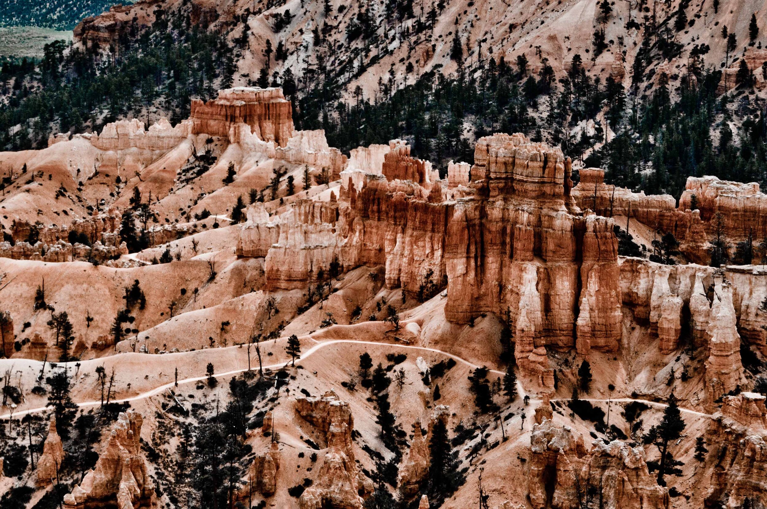 2019-Bryce Canyon-8.jpg