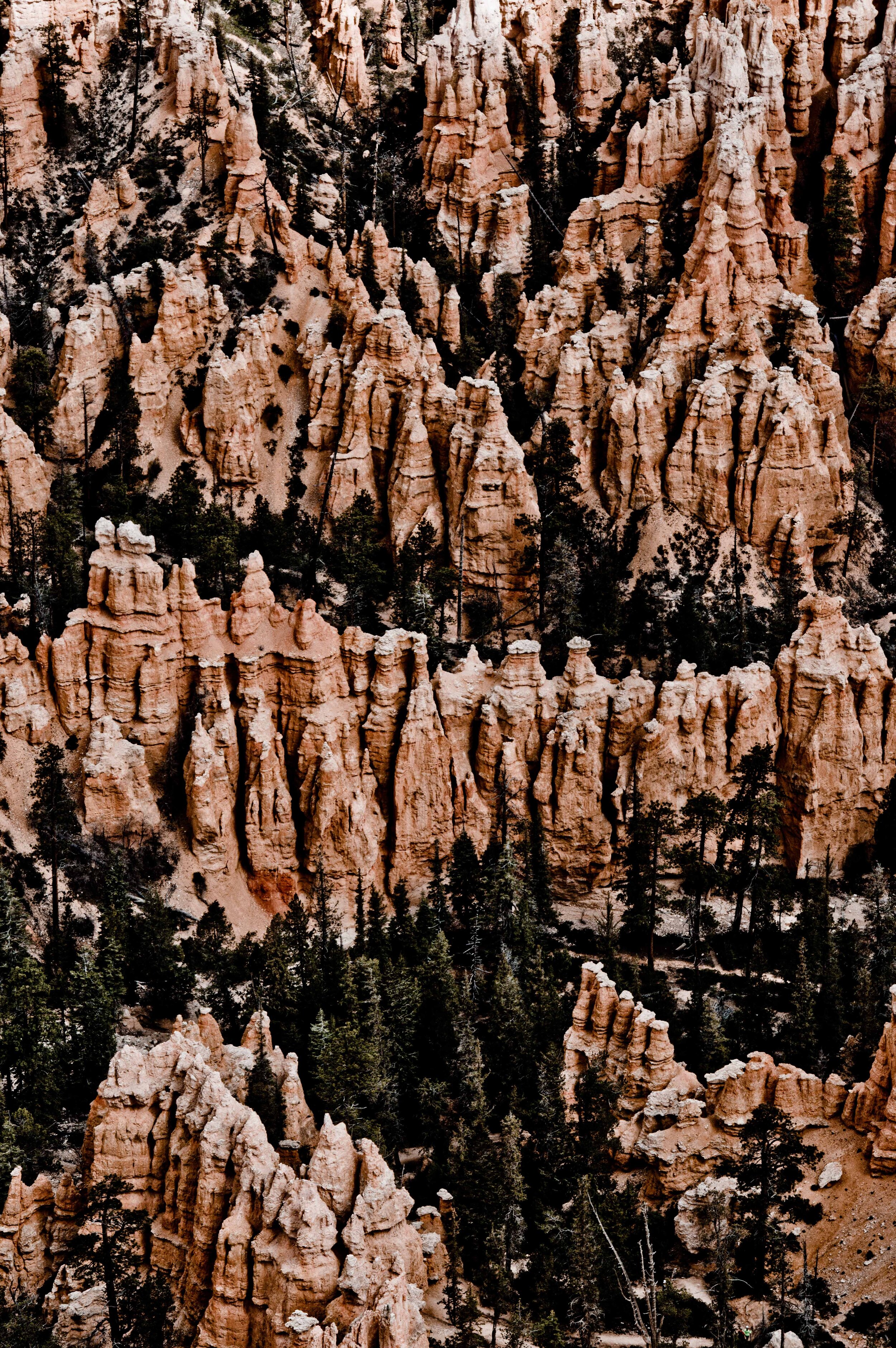 2019-Bryce Canyon-4.jpg