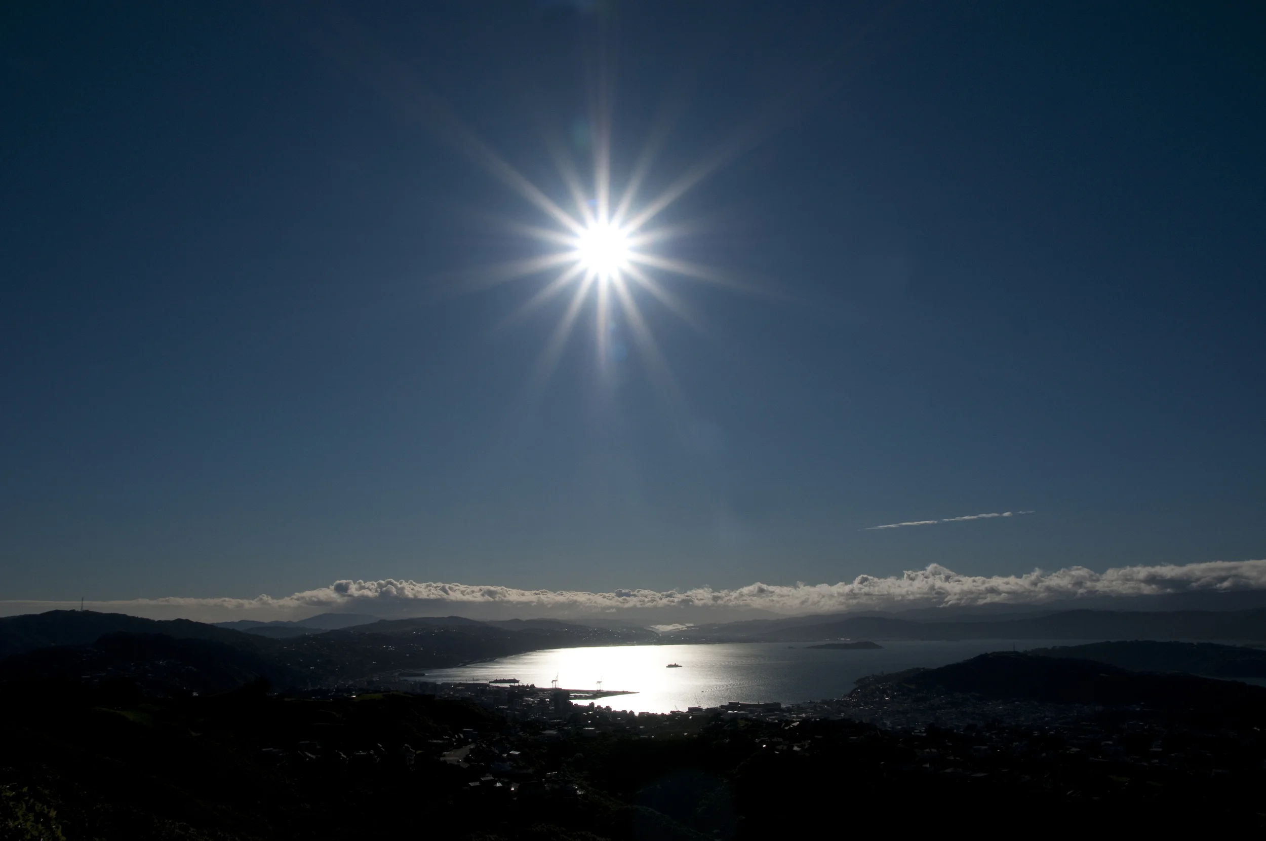 Wellington Star col_7PW5469.jpg