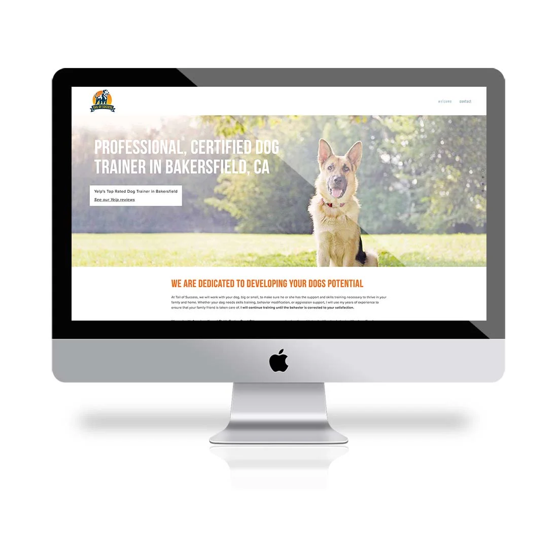 Tail Of Success (Copy)