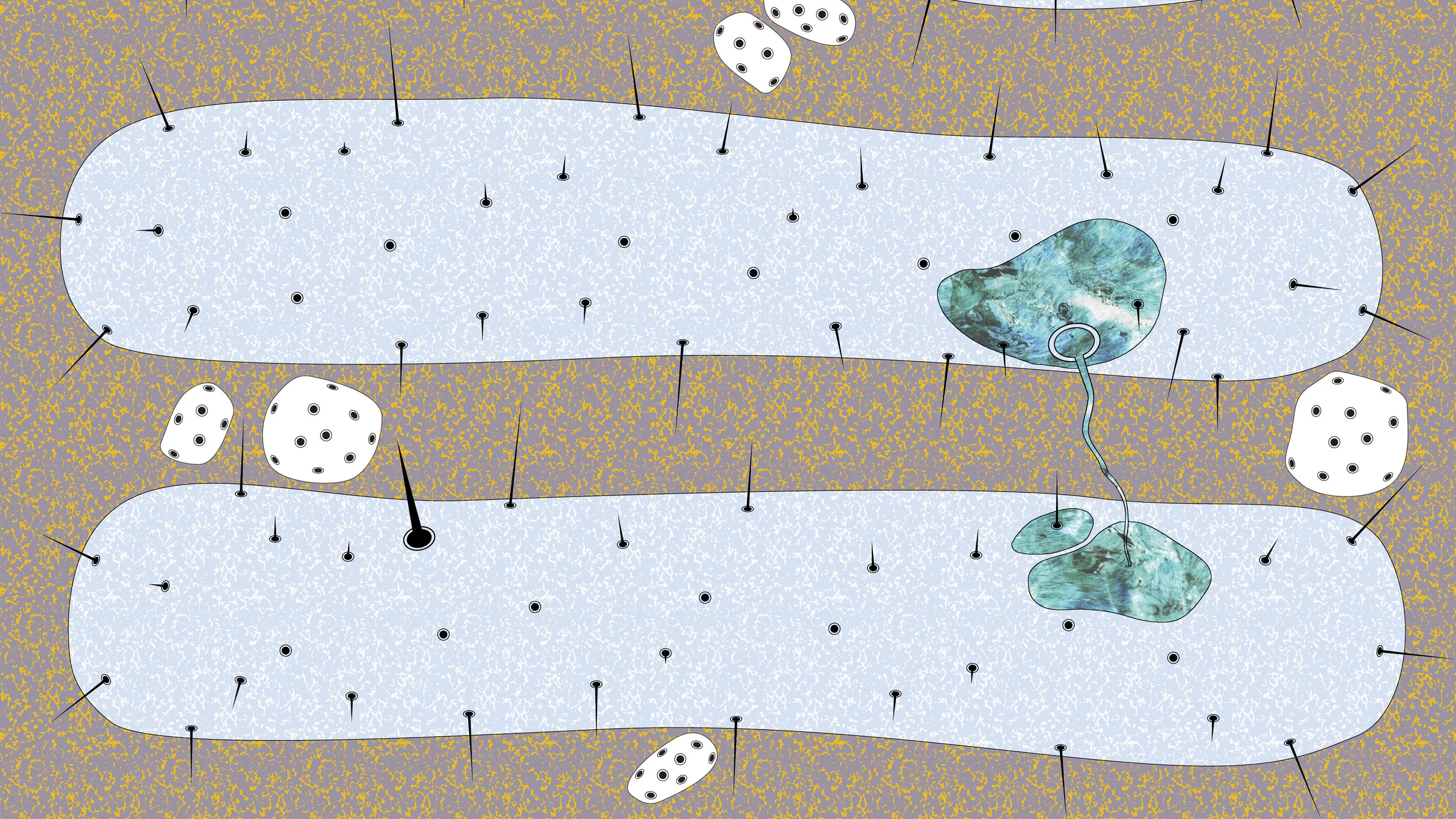 LINEAR SPORE 2.jpg
