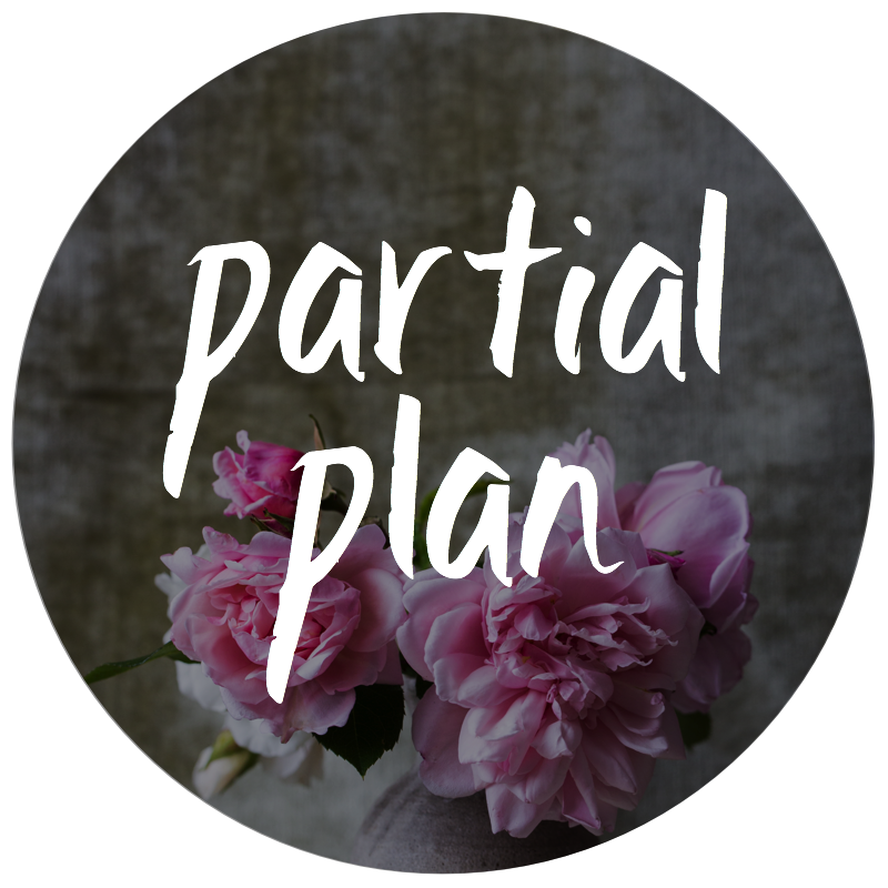 Partial Plan.png