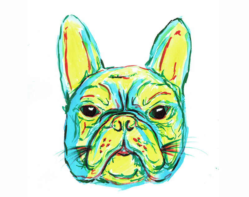 ALW-Clarke-French-Bulldog-watercolour.jpg