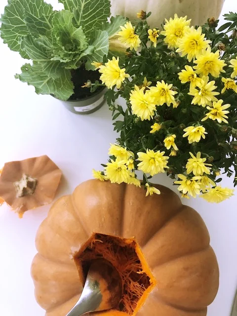 thanksgiving Pumpkin 5.jpg