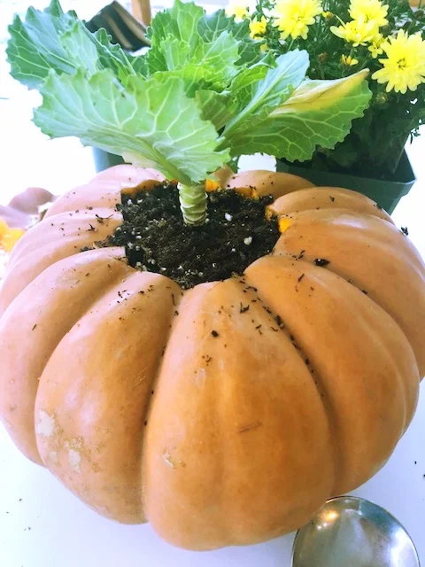 thanksgiving Pumpkin 9.jpg