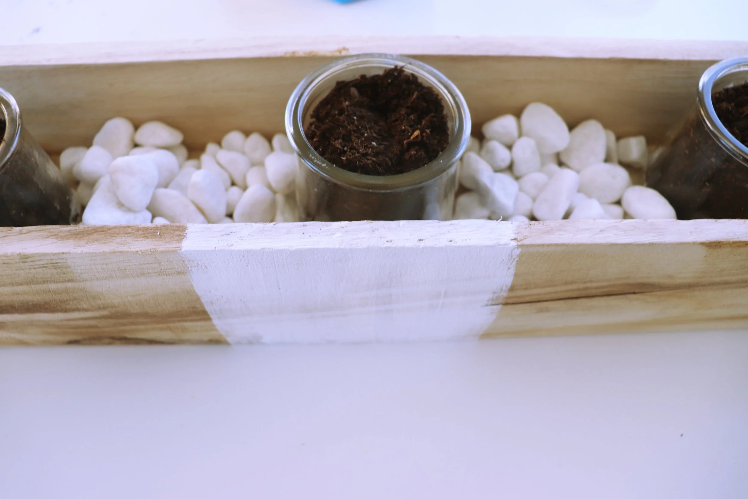 PLanter 31.jpg