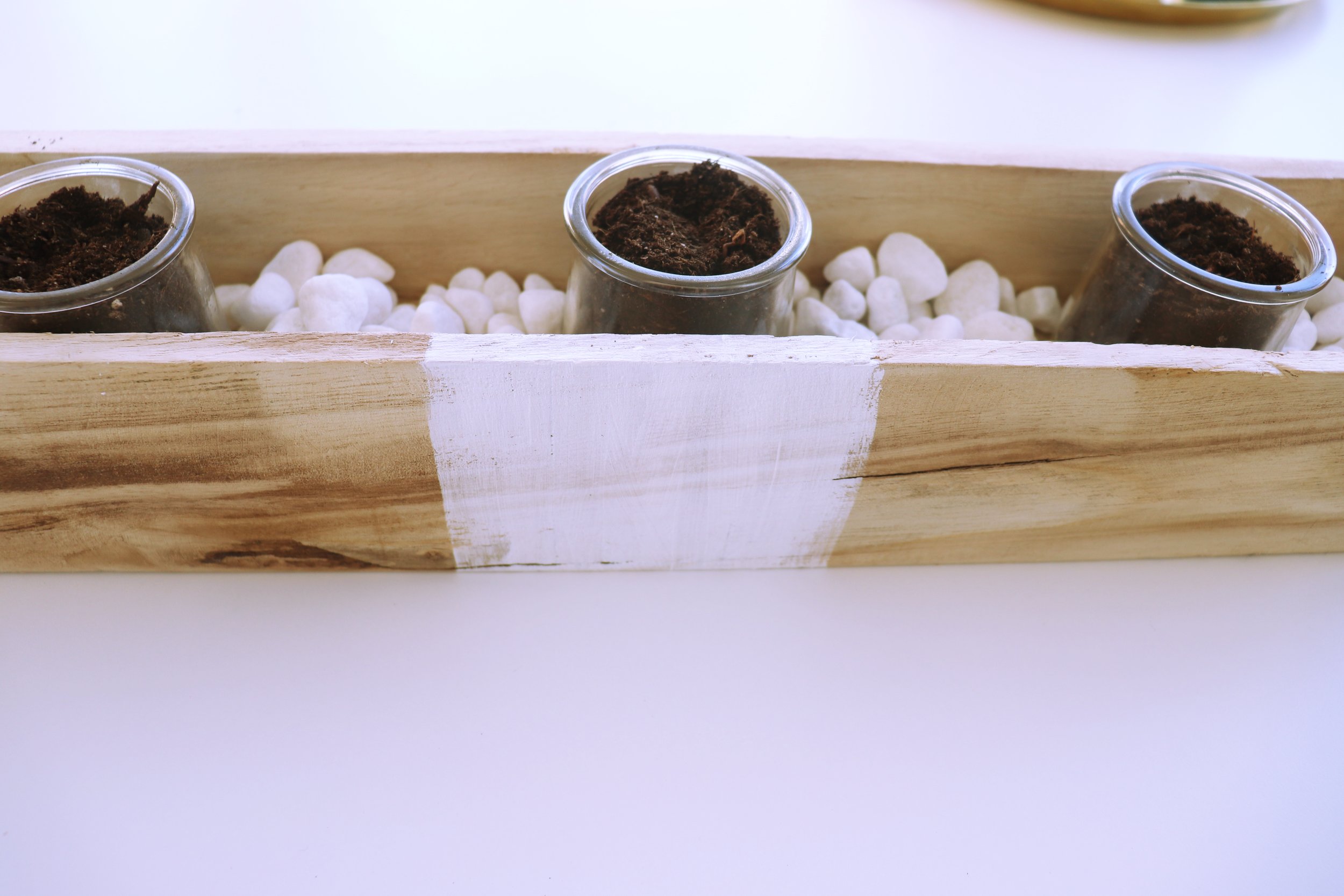 PLanter 32.jpg