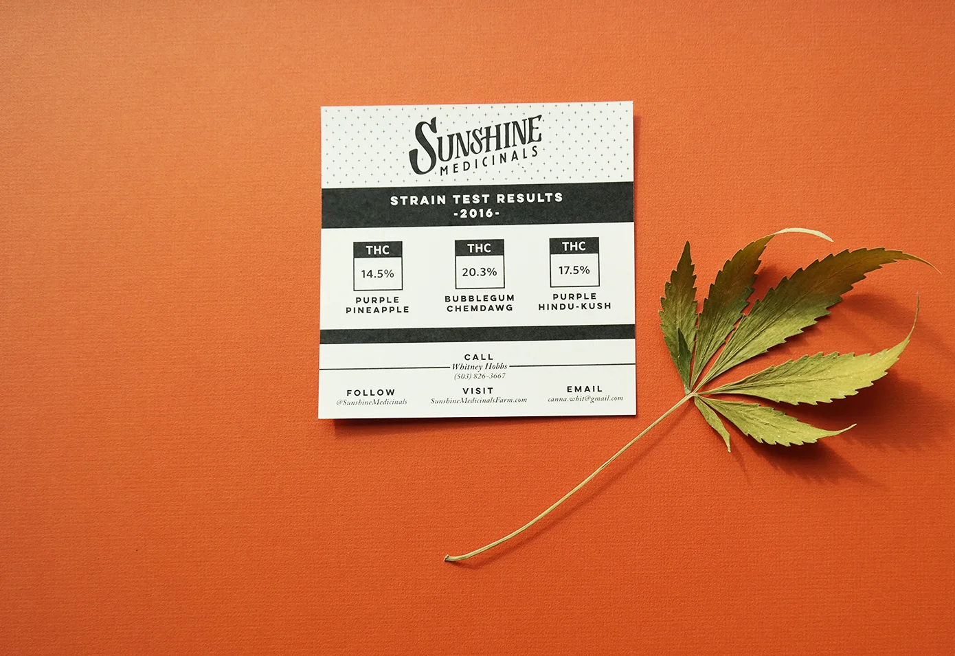 flyer-back.jpg