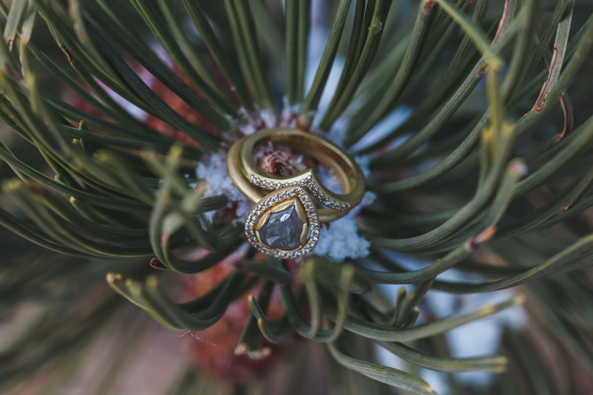 Custom wedding ring Metalmark house Denver Colorado Elopement