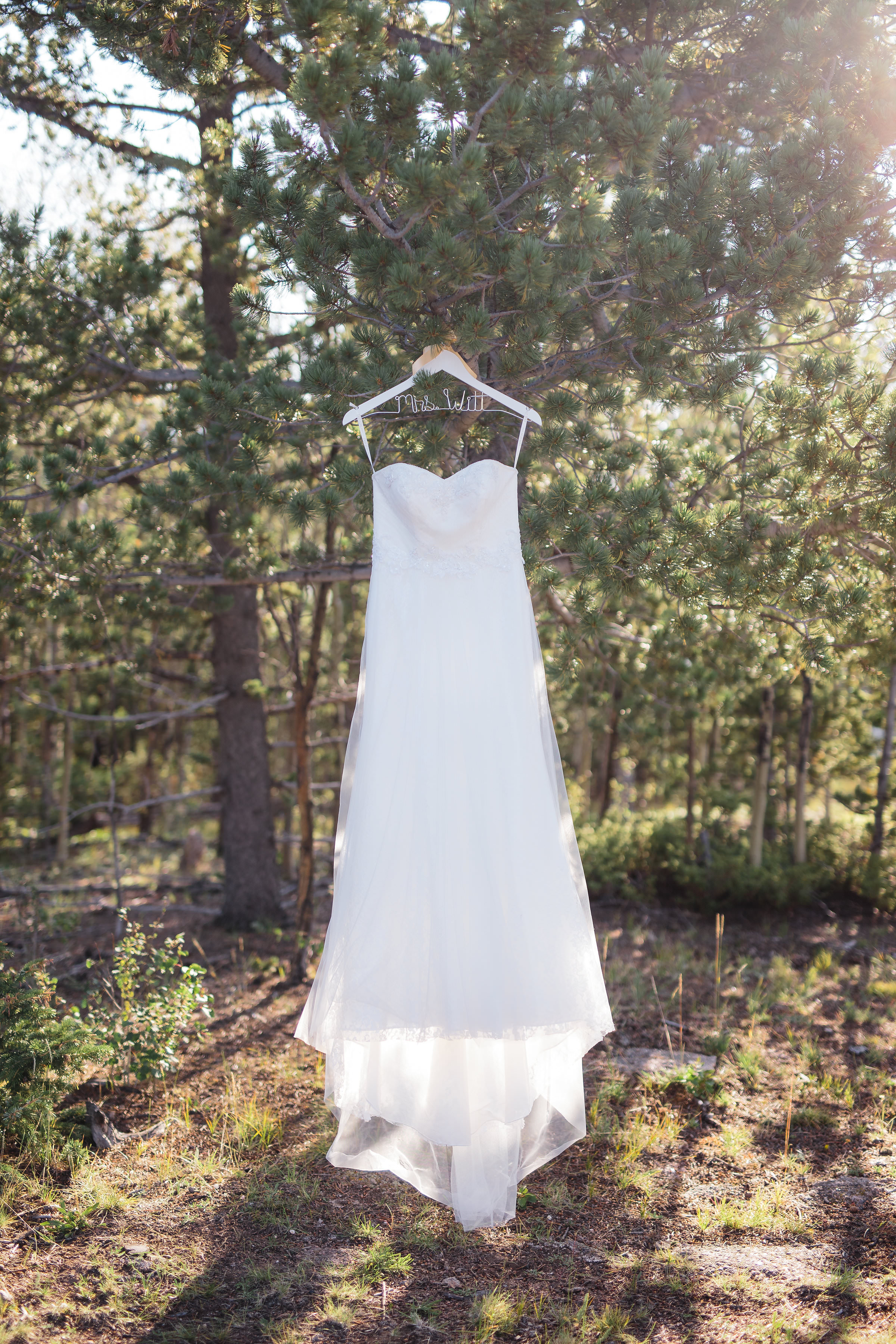 Wedding Dress Pine Trees Colorado
