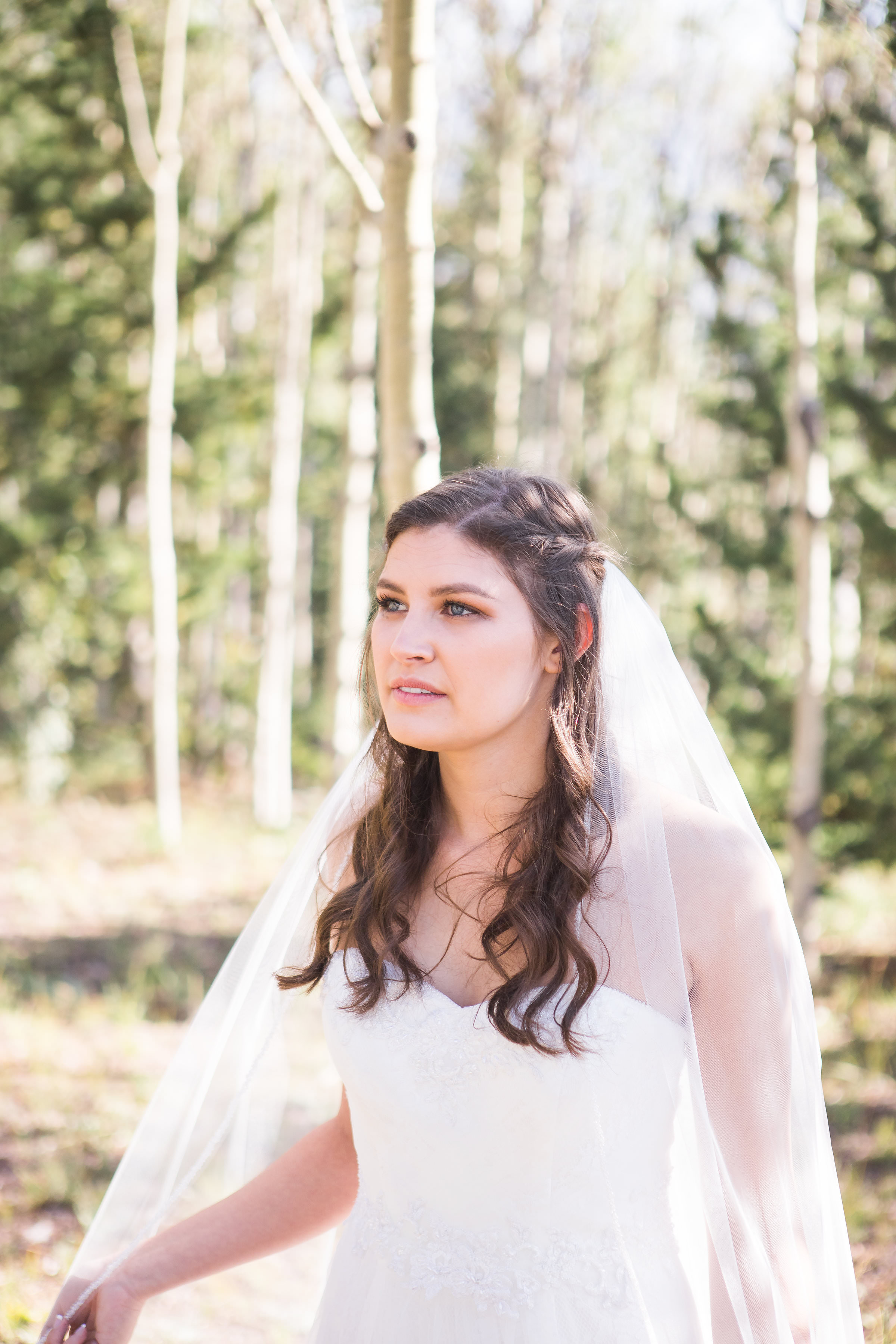Bride Formal Portrait
