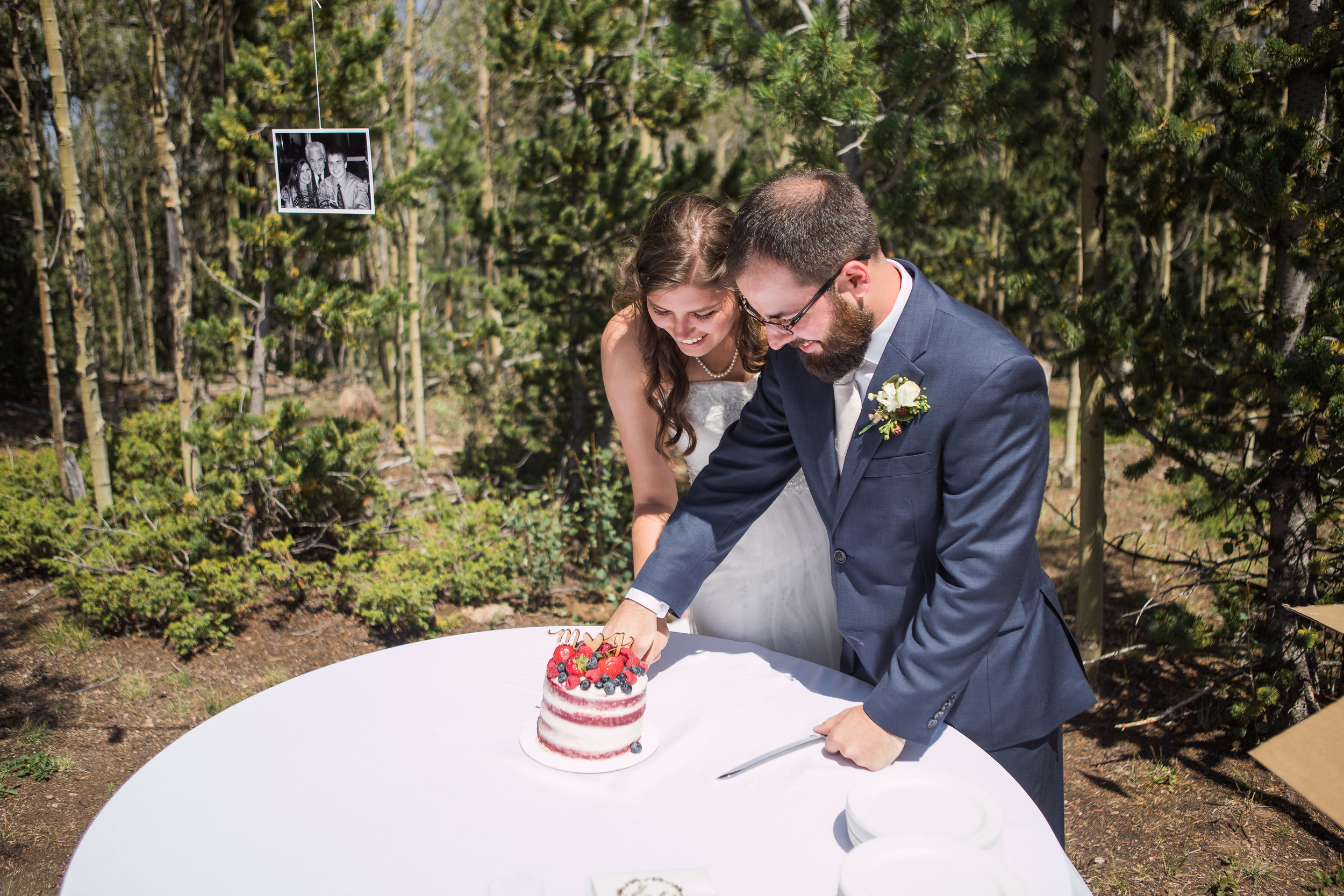 Cake Cutting Bride Groom Mountain Reception