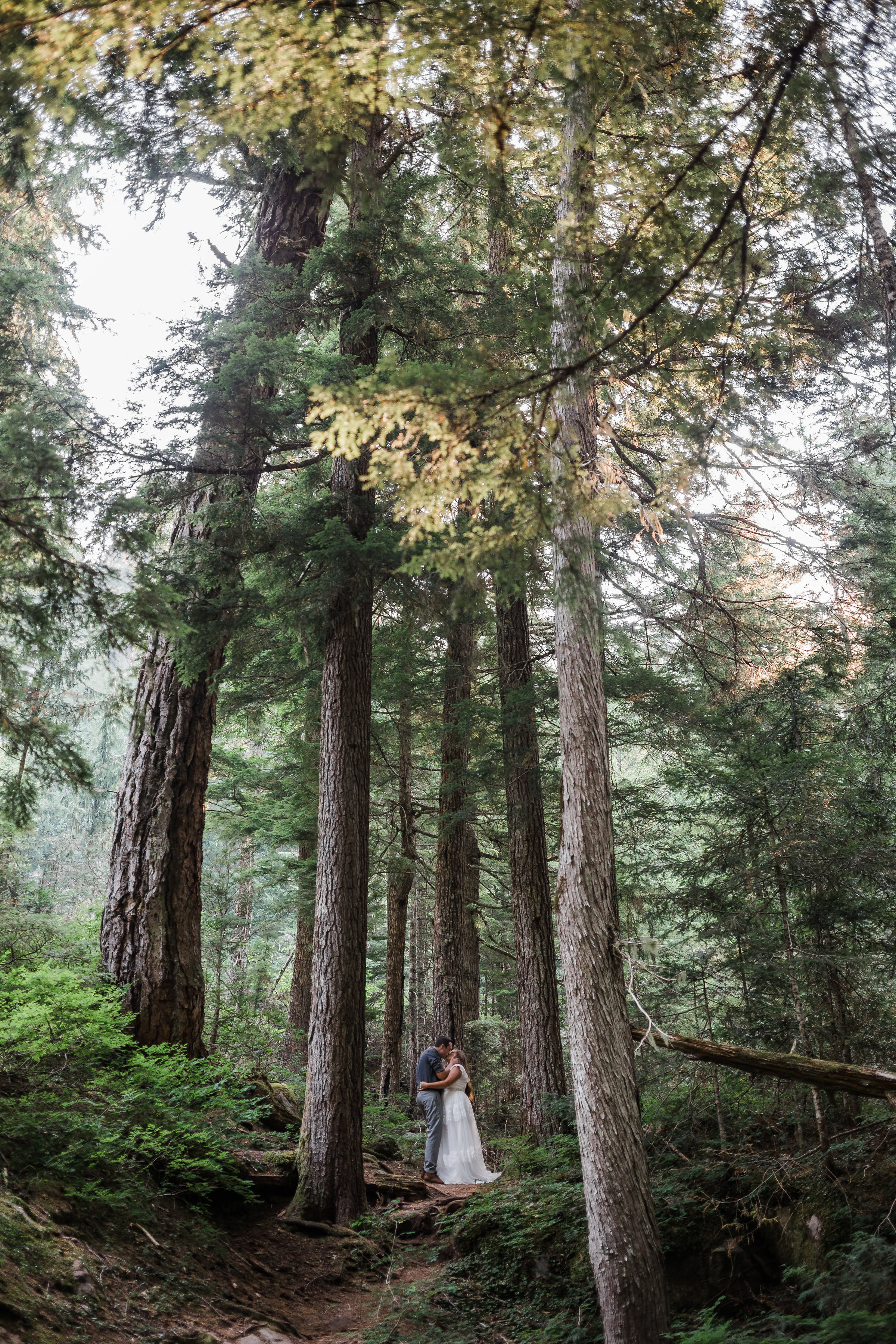 Mount Rainier National Park Forest Adventure Elopement
