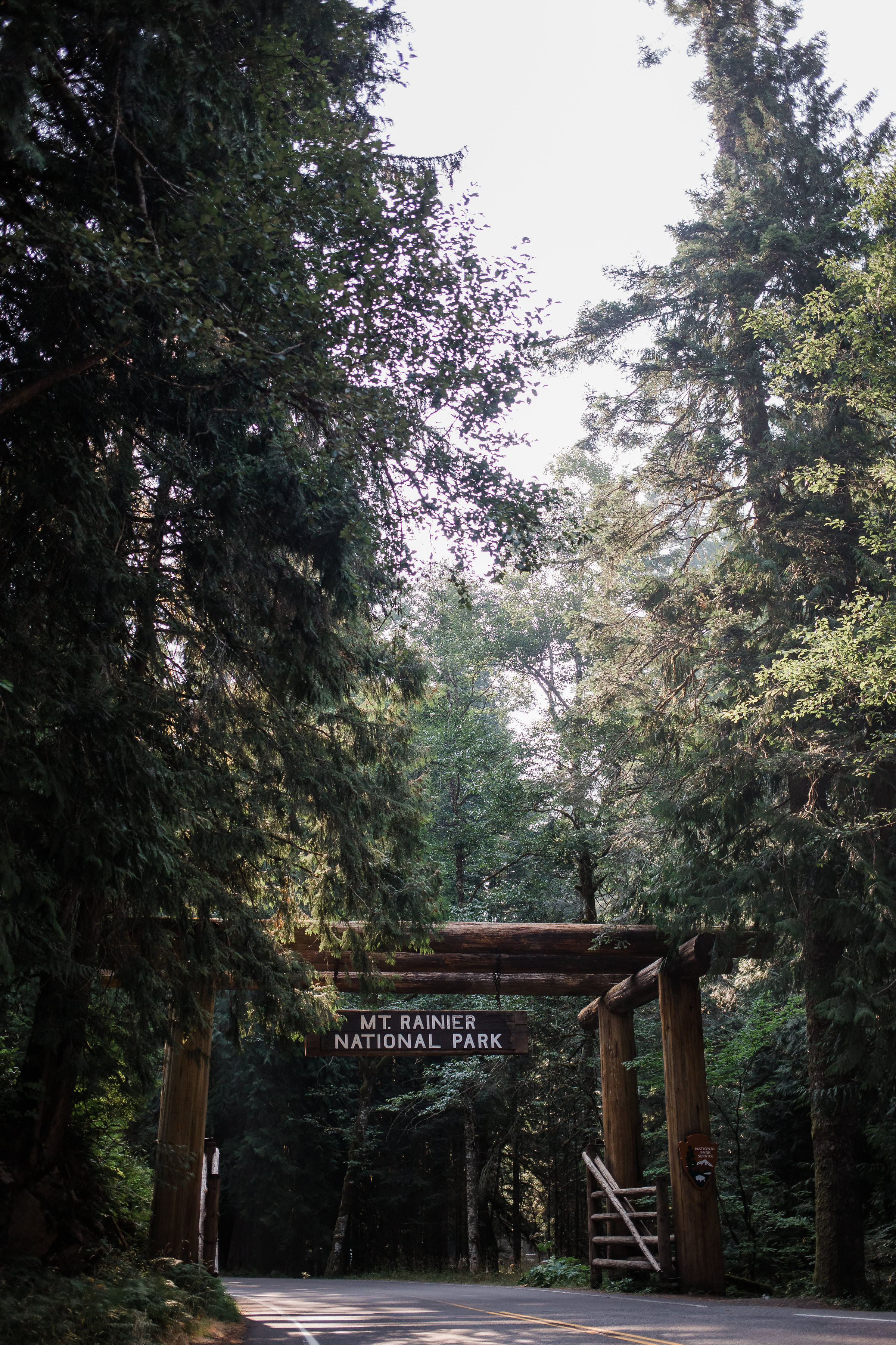 Mount Rainier National park Washington 