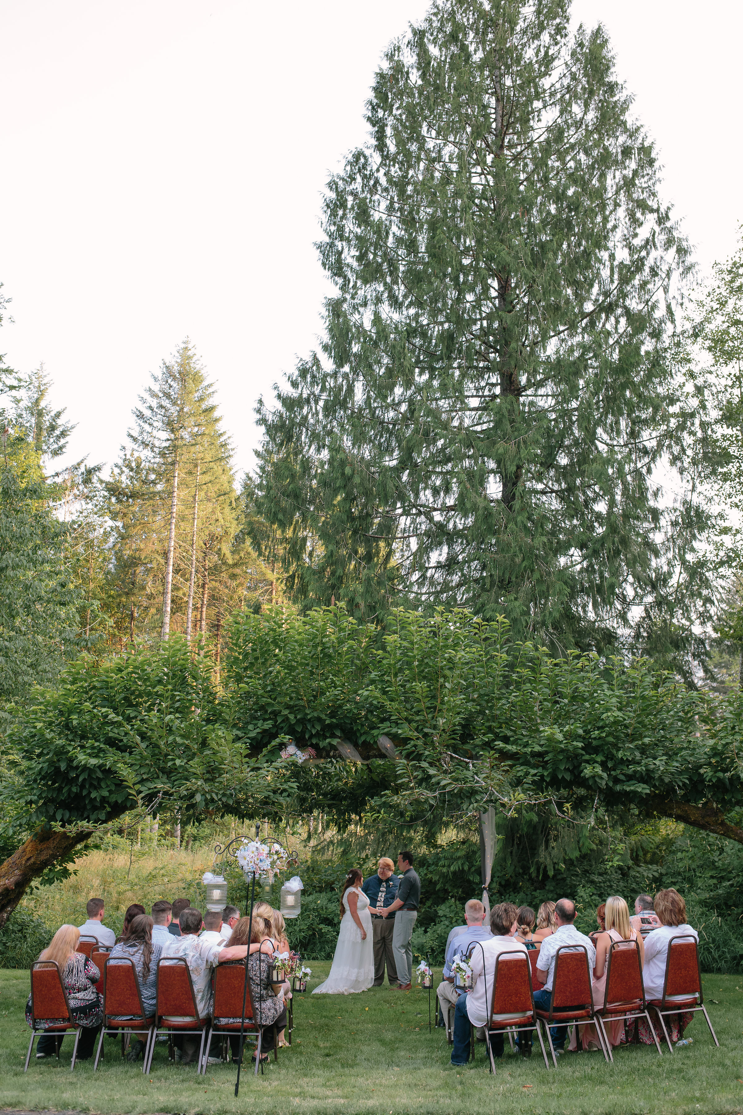 Mount Rainier Washington Intimate Ceremony