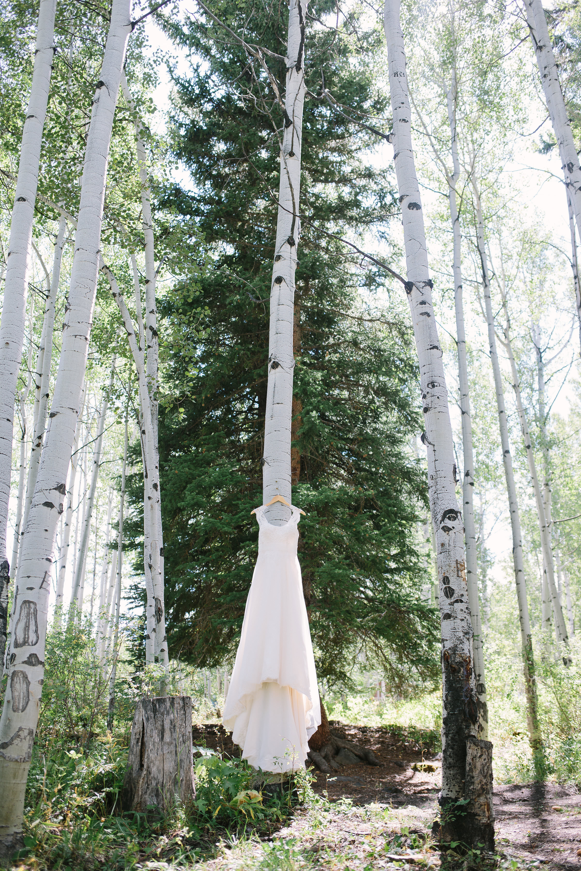 Bride Wedding Dress Forest Colorado