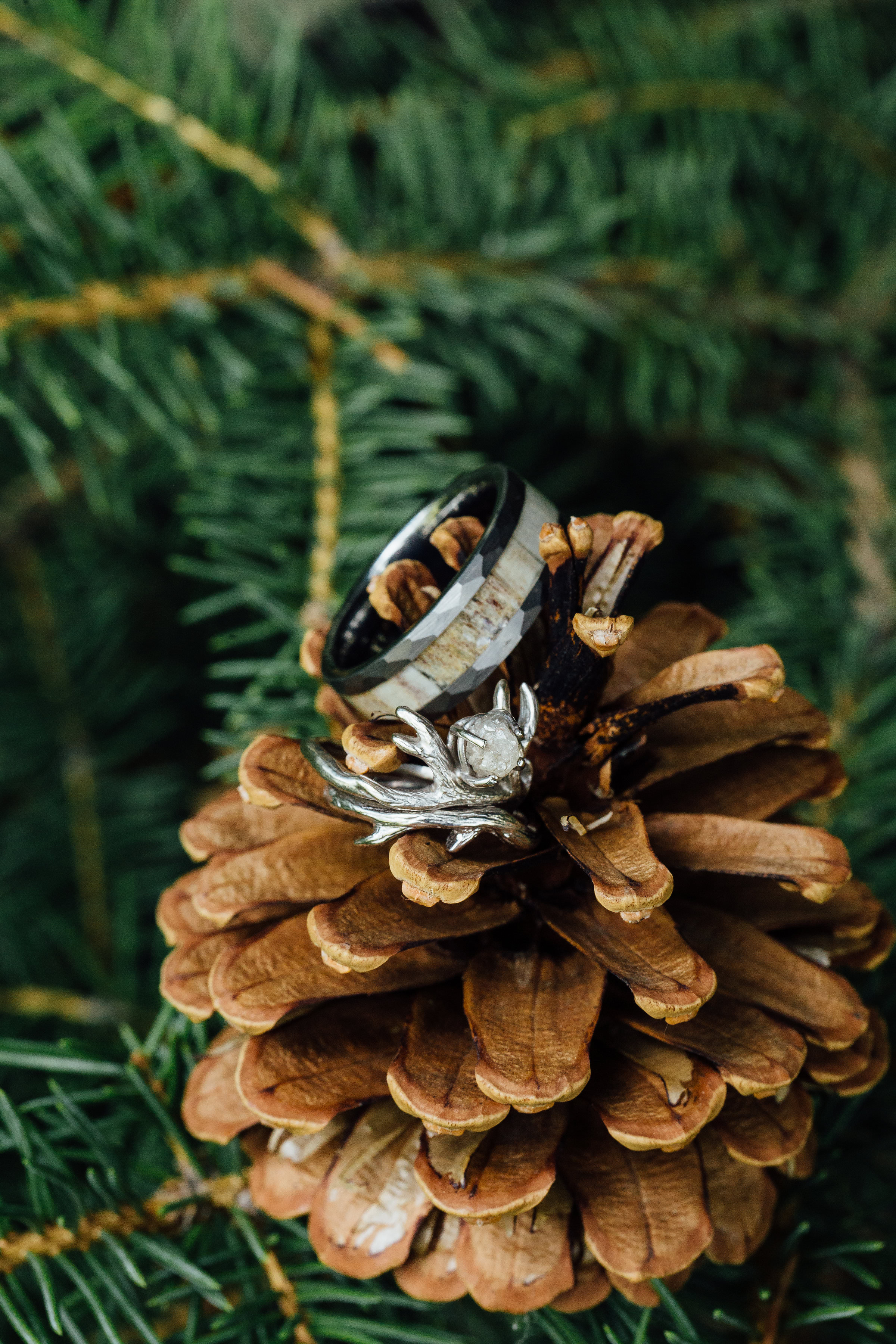 Wedding Ring Elk Horn Pine Colorado