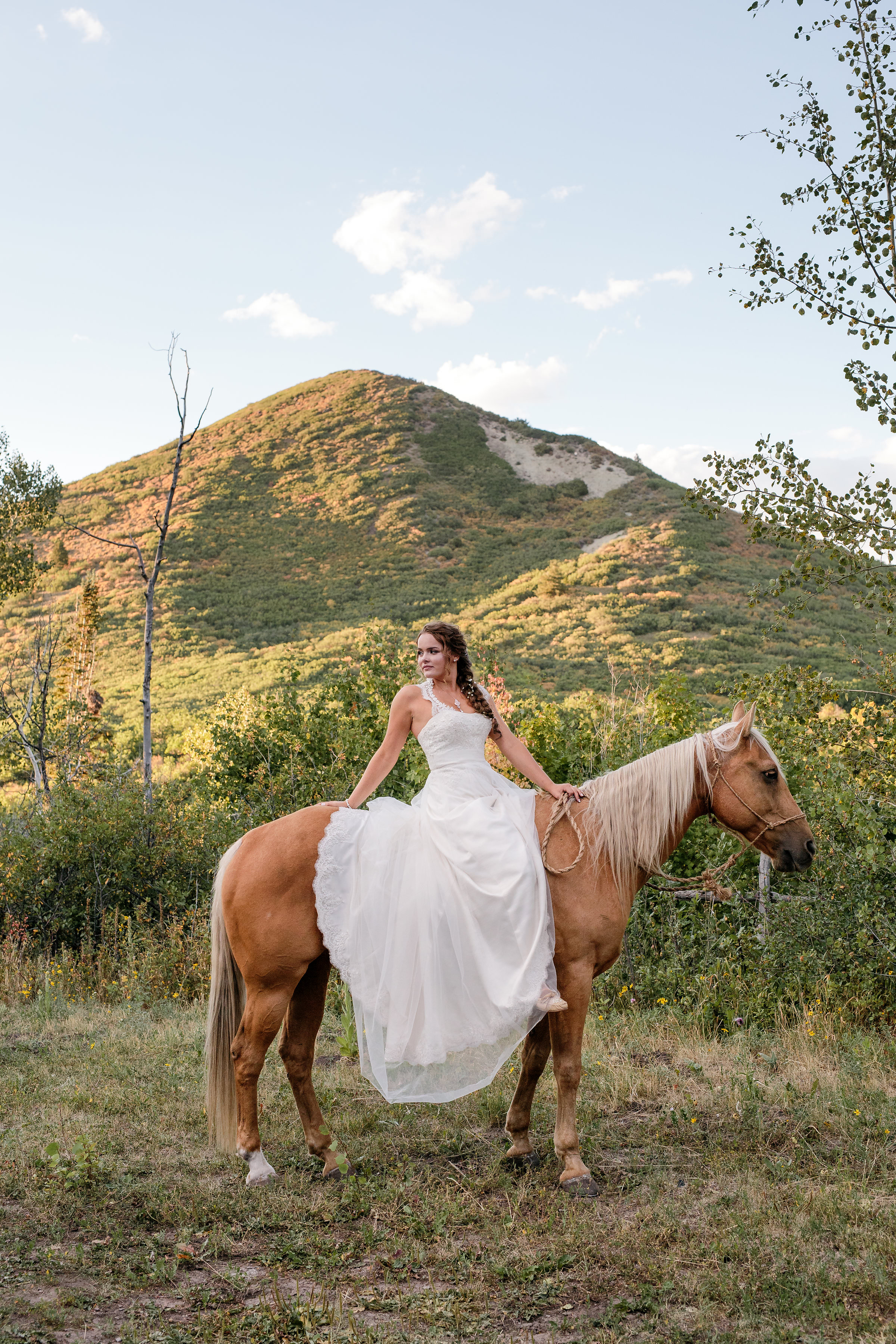 Old Man Mountain Colorado Horse Bride