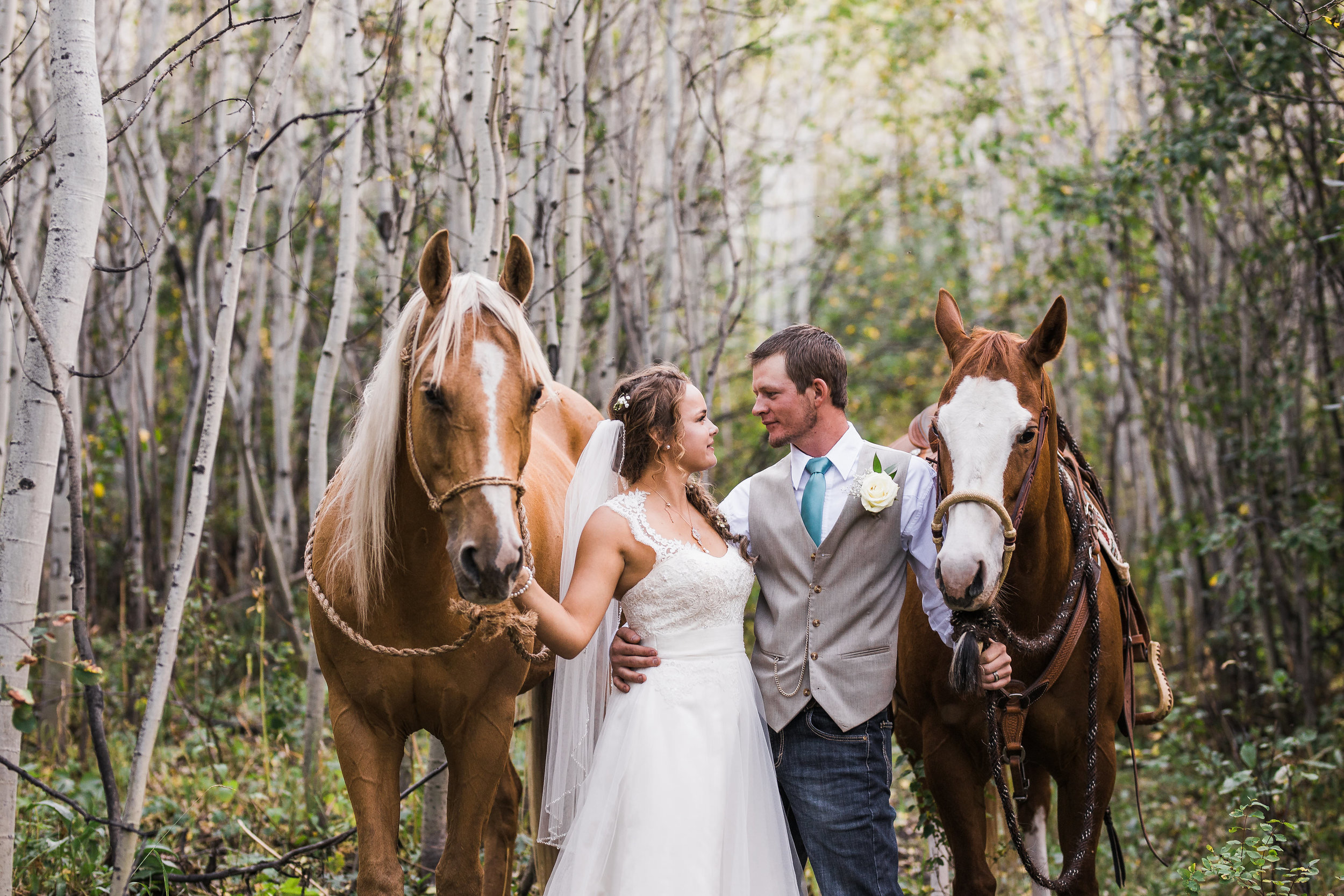 Country Horse Bride Groom Mountain Wedding