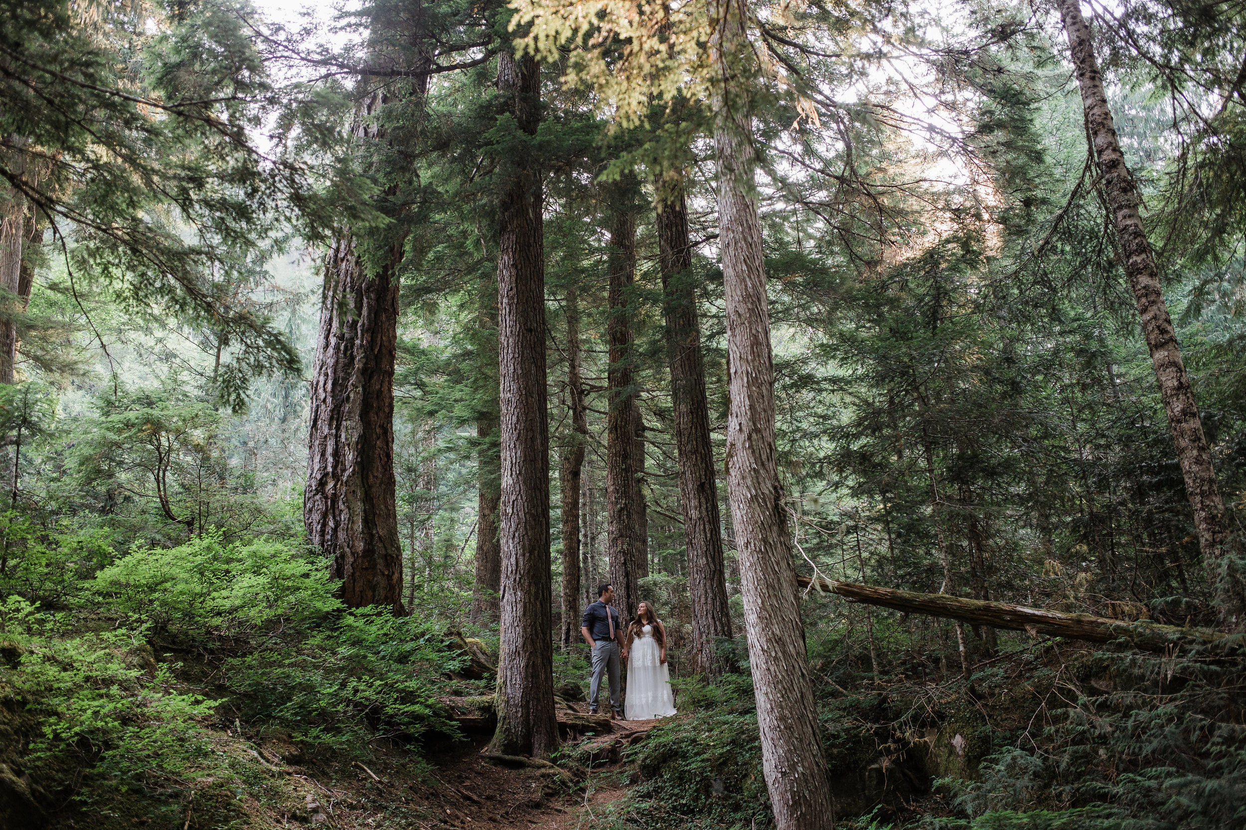 Adventure wedding pictures in Mount Rainier National Park