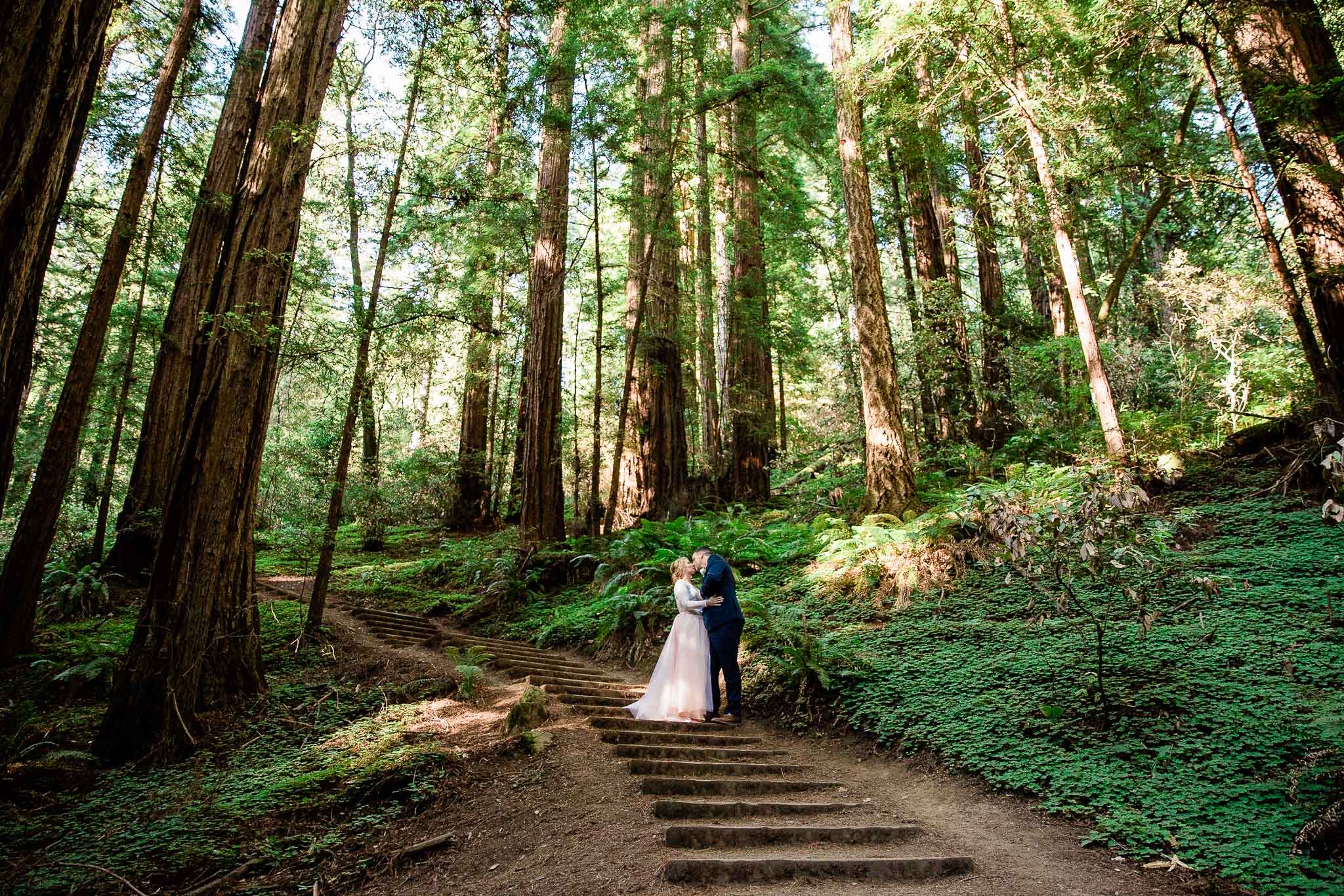 Bride and Groom pose for wedding photos in the Muir Woods National Monument