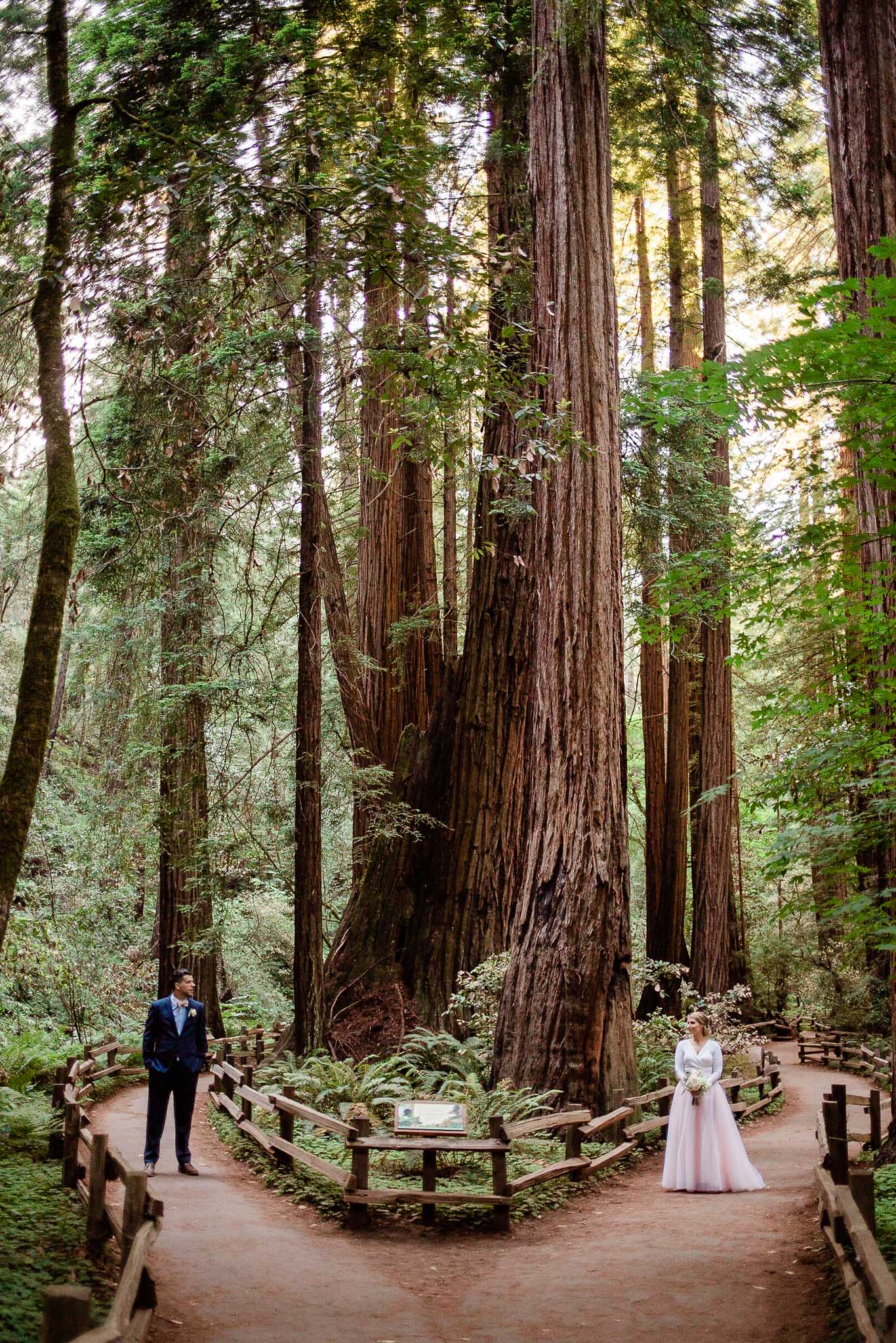 Bride and Groom pose for wedding photos in the Muir Woods National Monument