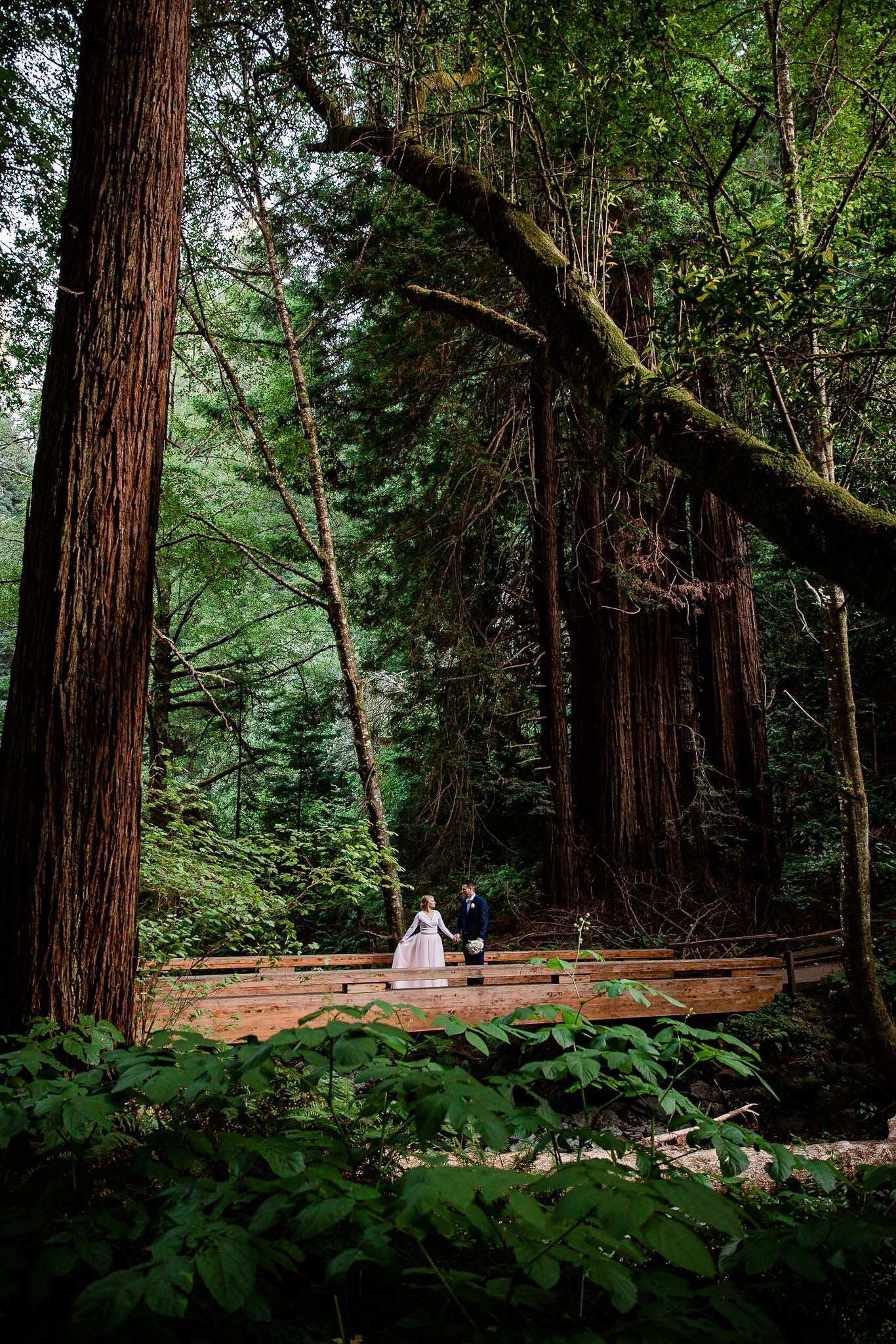 Bride and Groom pose for wedding photos in the Muir Woods National Monument