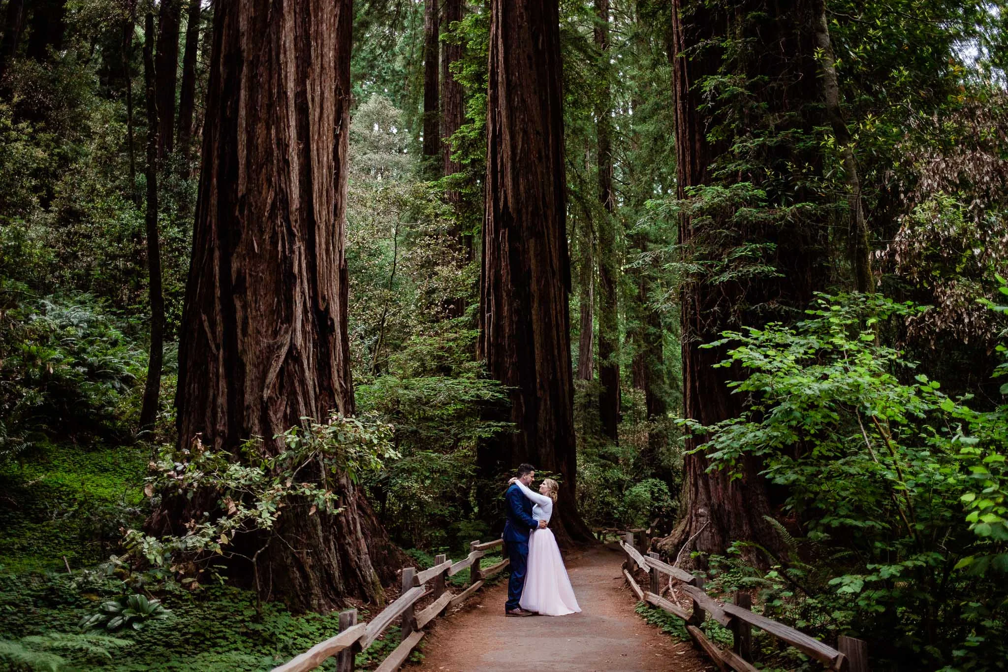 Muir Woods destination elopement photographer