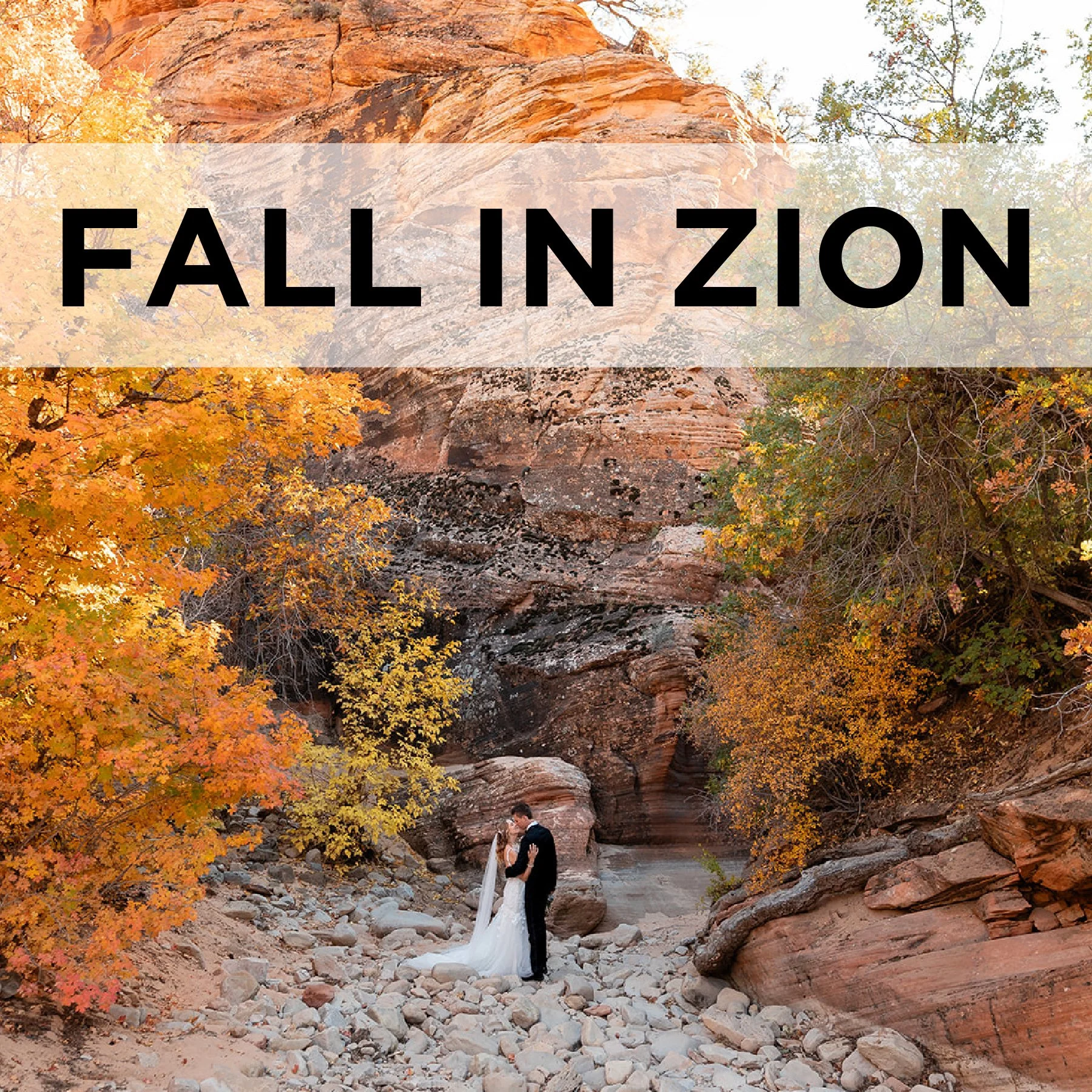 Fall in Zion: Tips for Fall Weddings