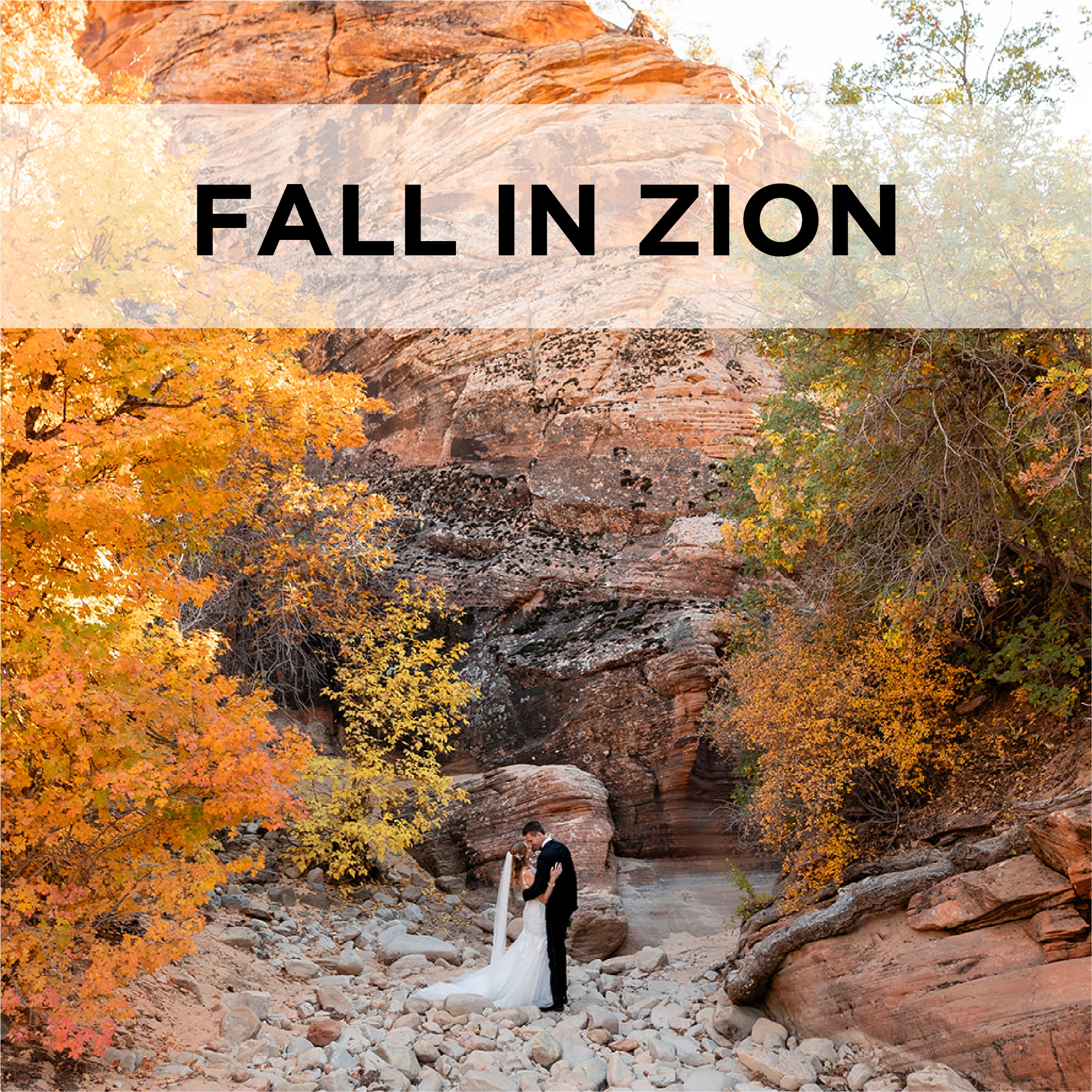 Fall in Zion: Tips for Fall Weddings