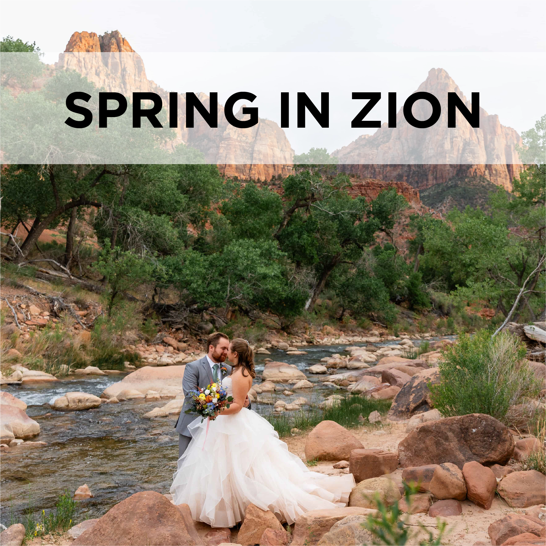 Spring in Zion: Tips for Spring Weddings