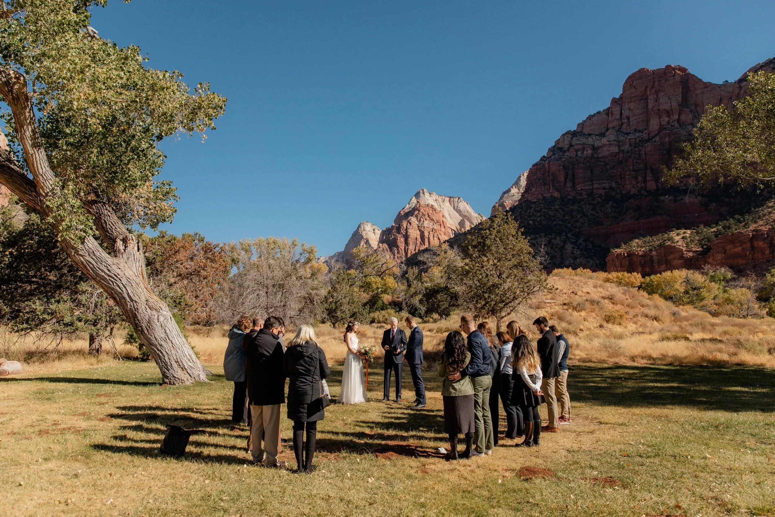 wedding ceremony at zion nature center north lawn