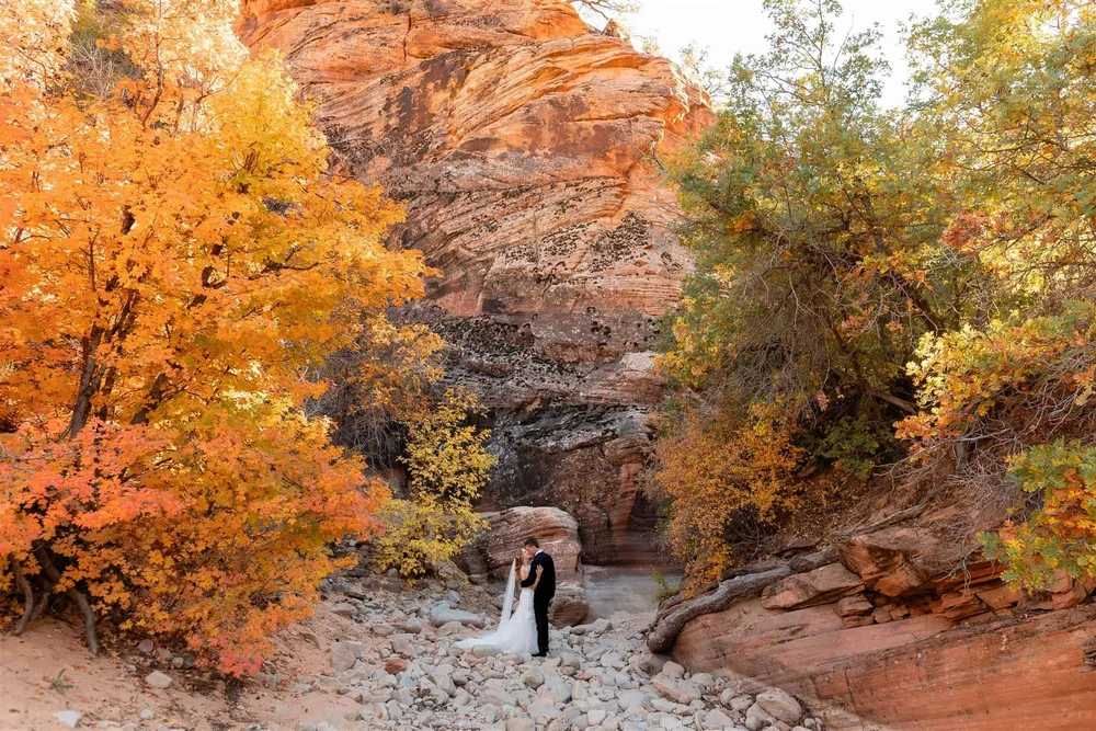 The Ultimate Guide to Eloping in Zion from a Local in 2024